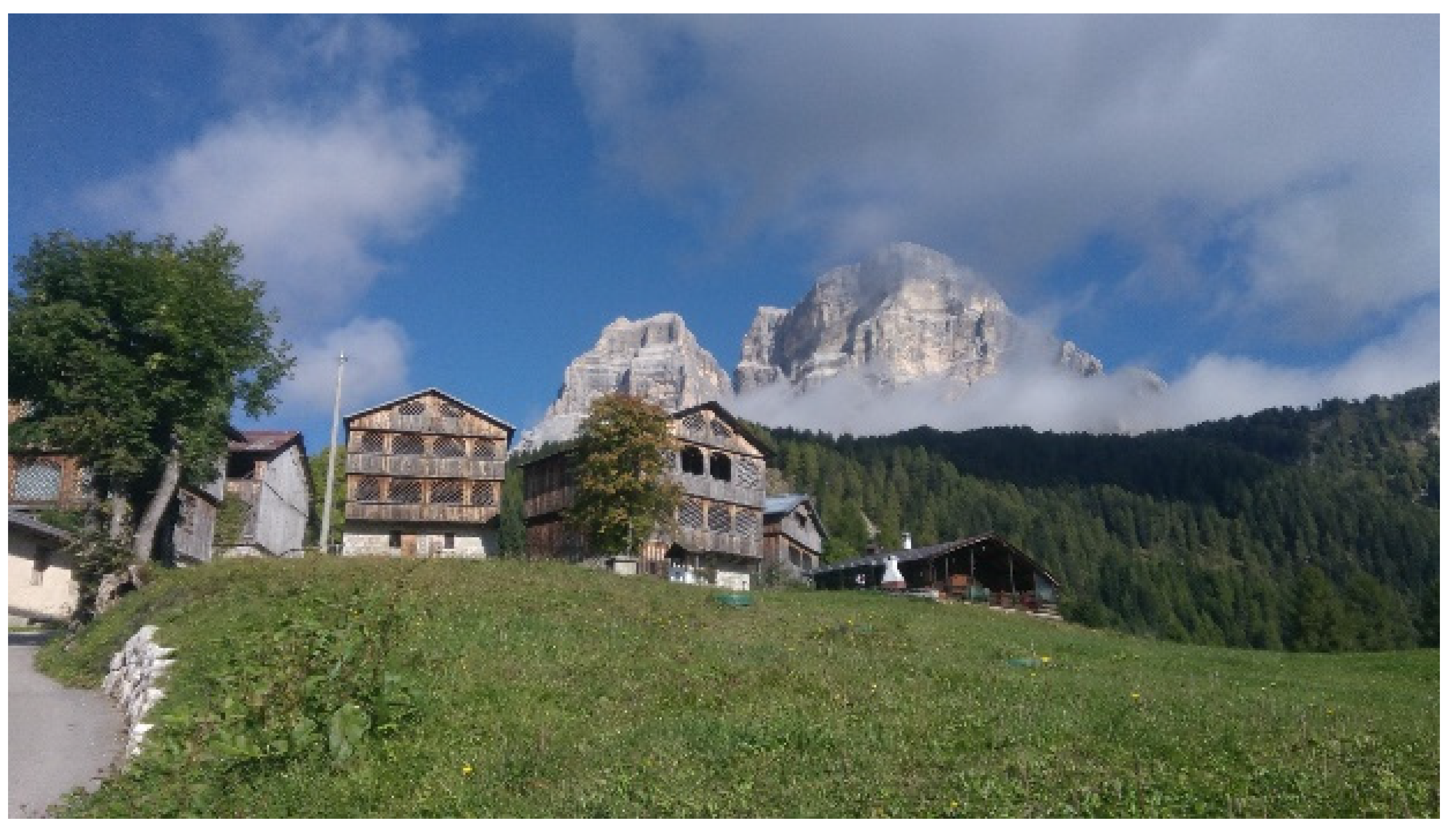 Sustainability 14 11870 g003 Sustainability 14 11870 g003