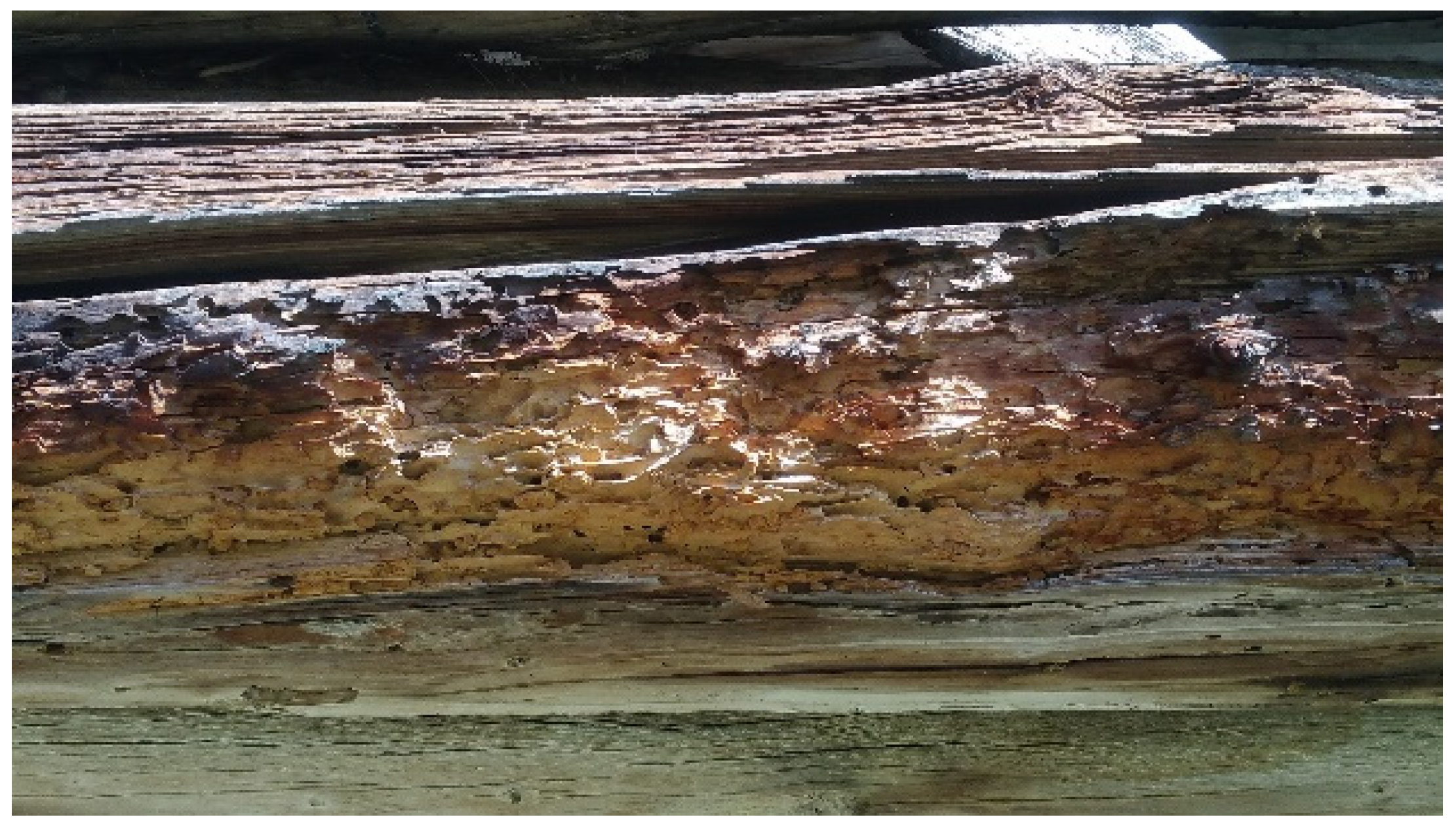 Sustainability 14 11870 g008 Sustainability 14 11870 g008