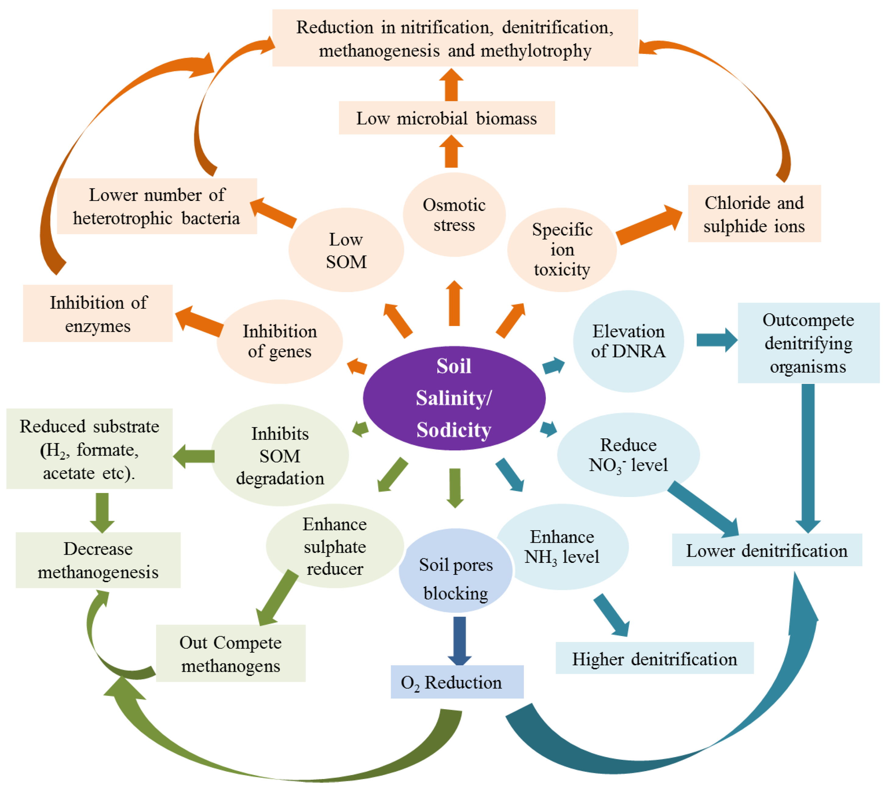 Sustainability 14 11876 g002