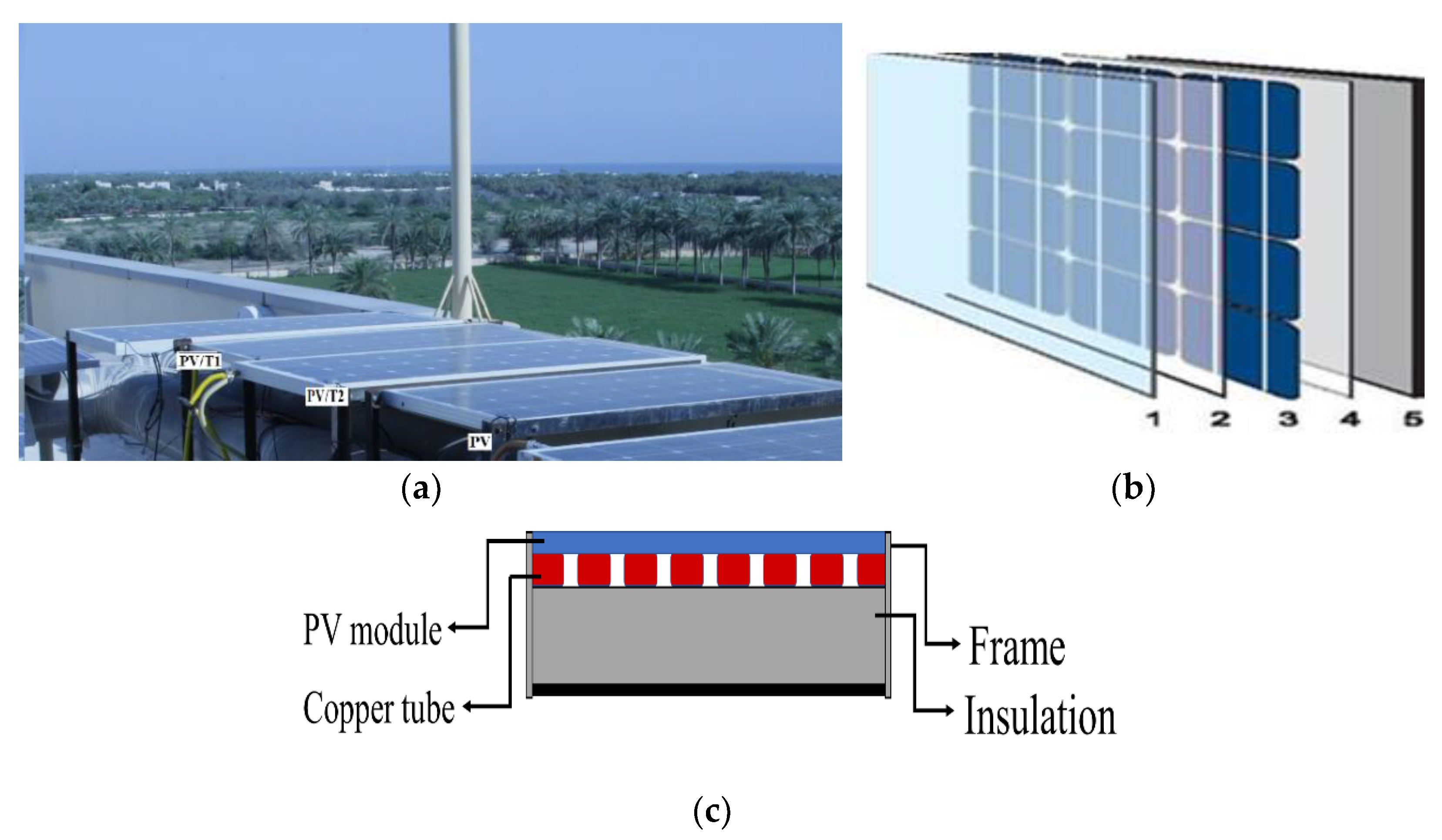 Sustainability 14 11897 g002