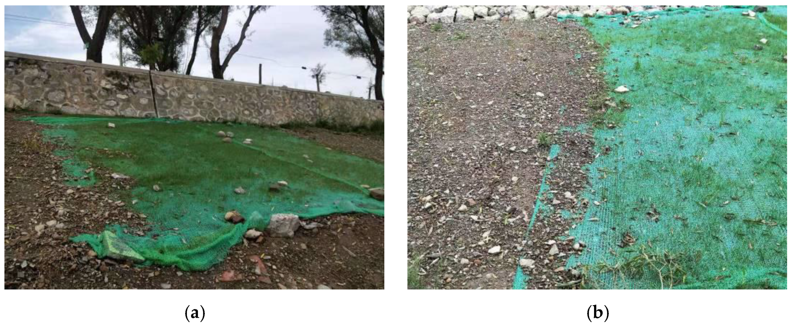 Sustainability 14 11911 g011