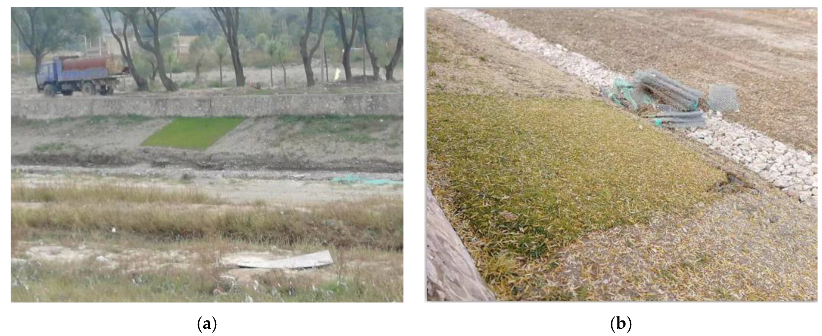 Sustainability 14 11911 g012