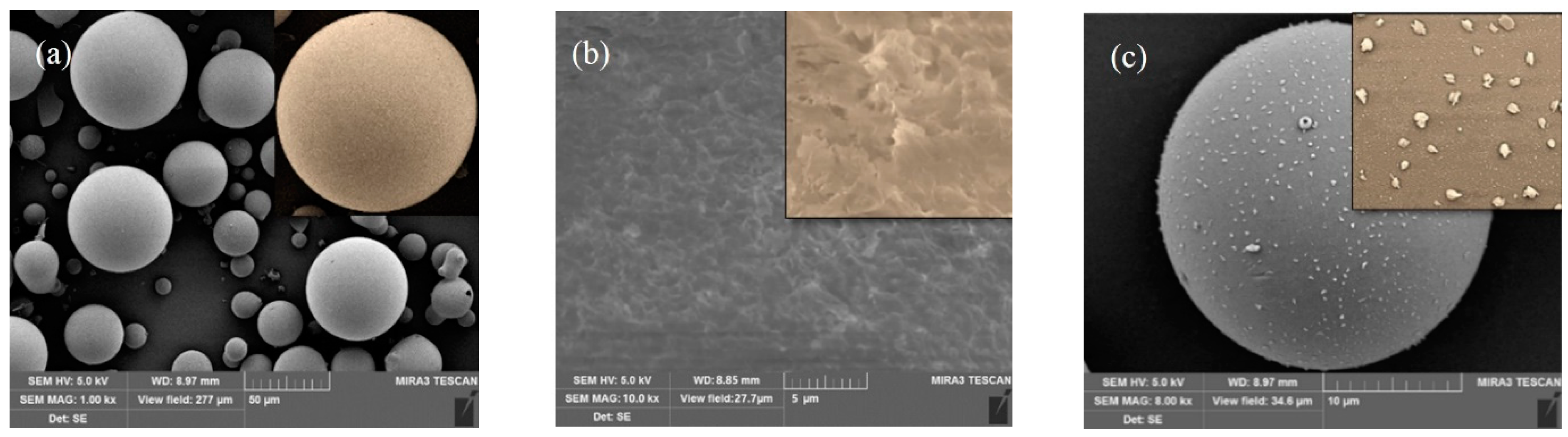 Sustainability 14 11977 g001 550