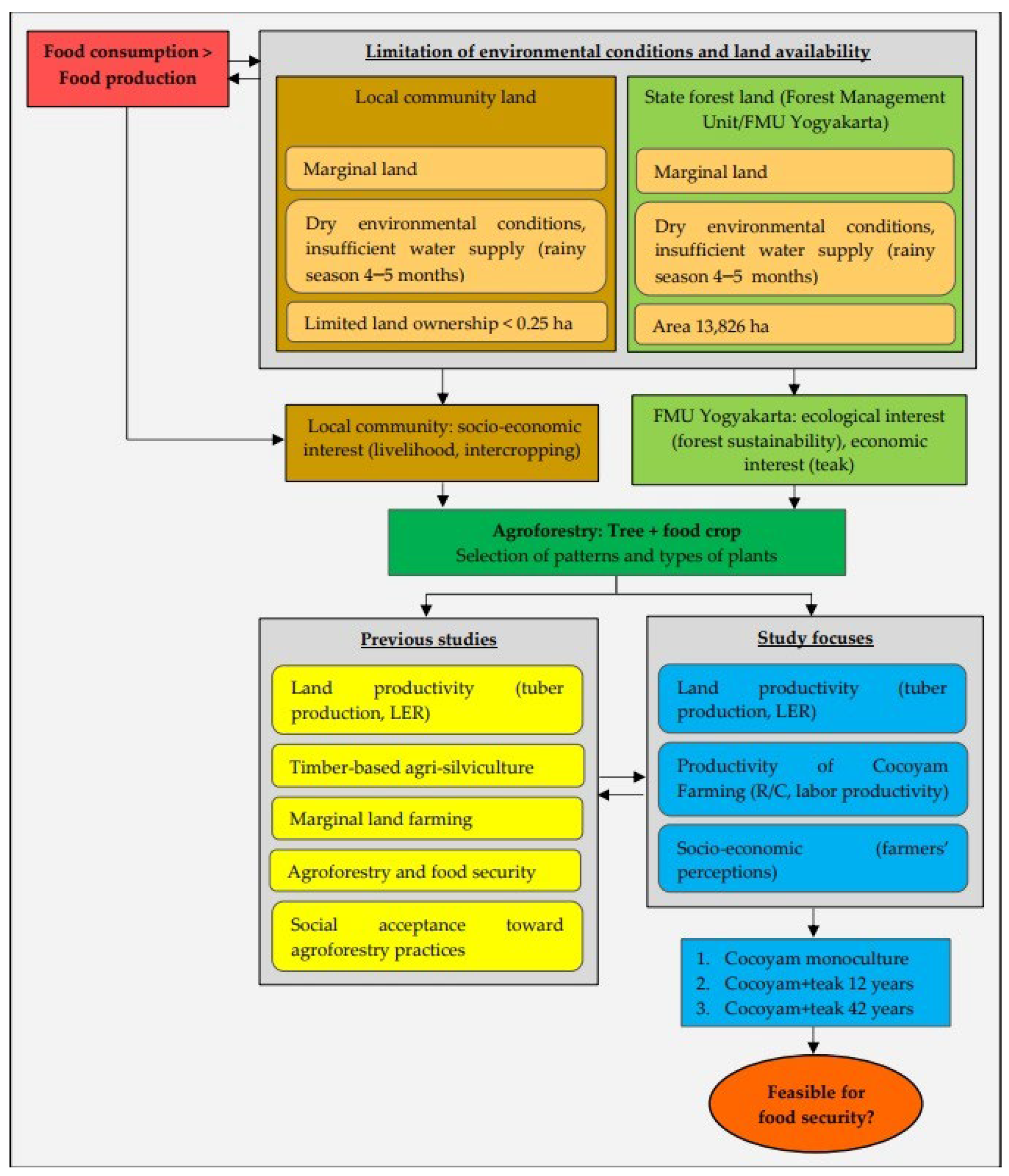 Sustainability Free Full-Text Assessing the Productivity and Socioeconomic Feasibility of Cocoyam and Teak Agroforestry for Food Security image