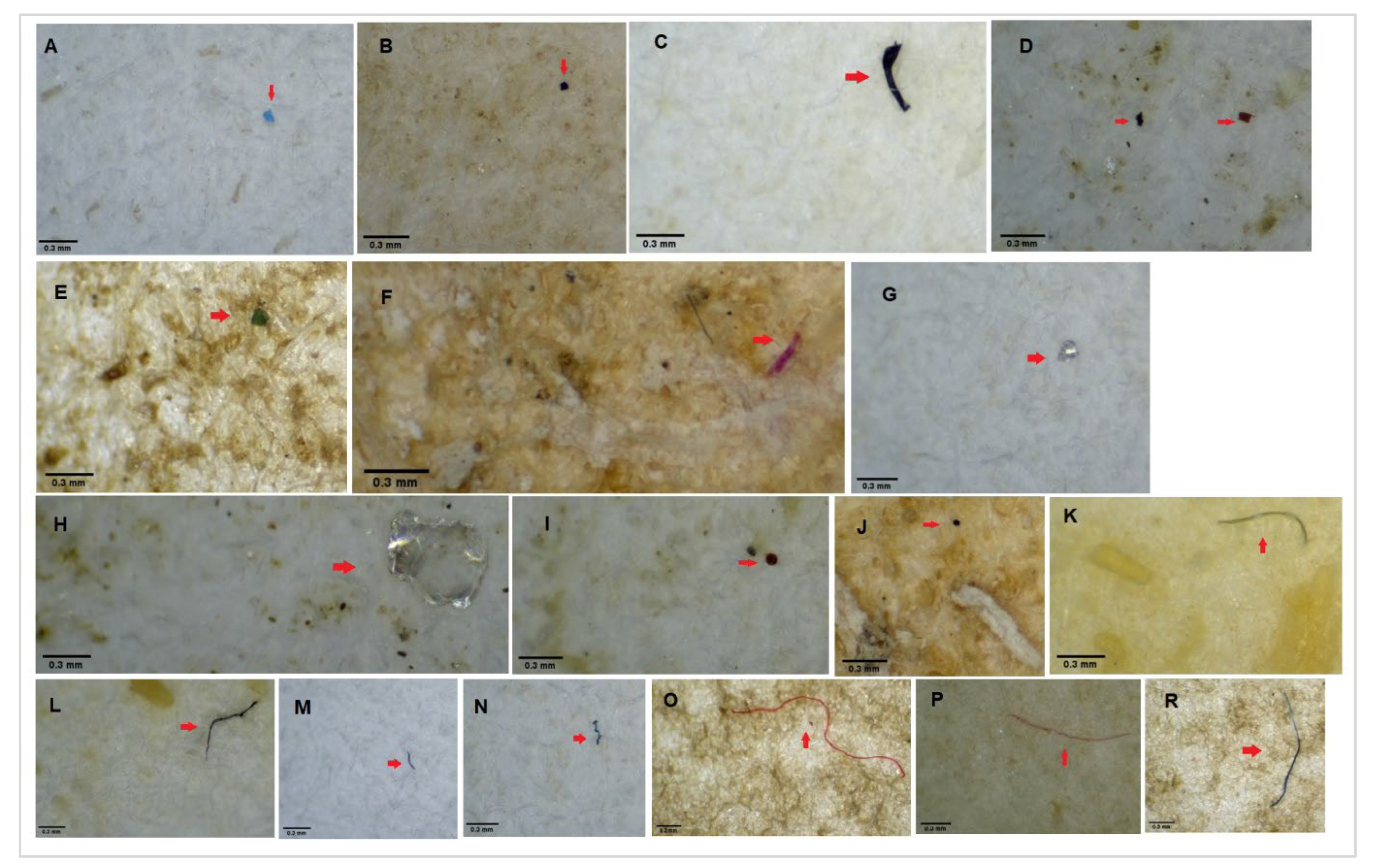 Sustainability 14 12009 g004