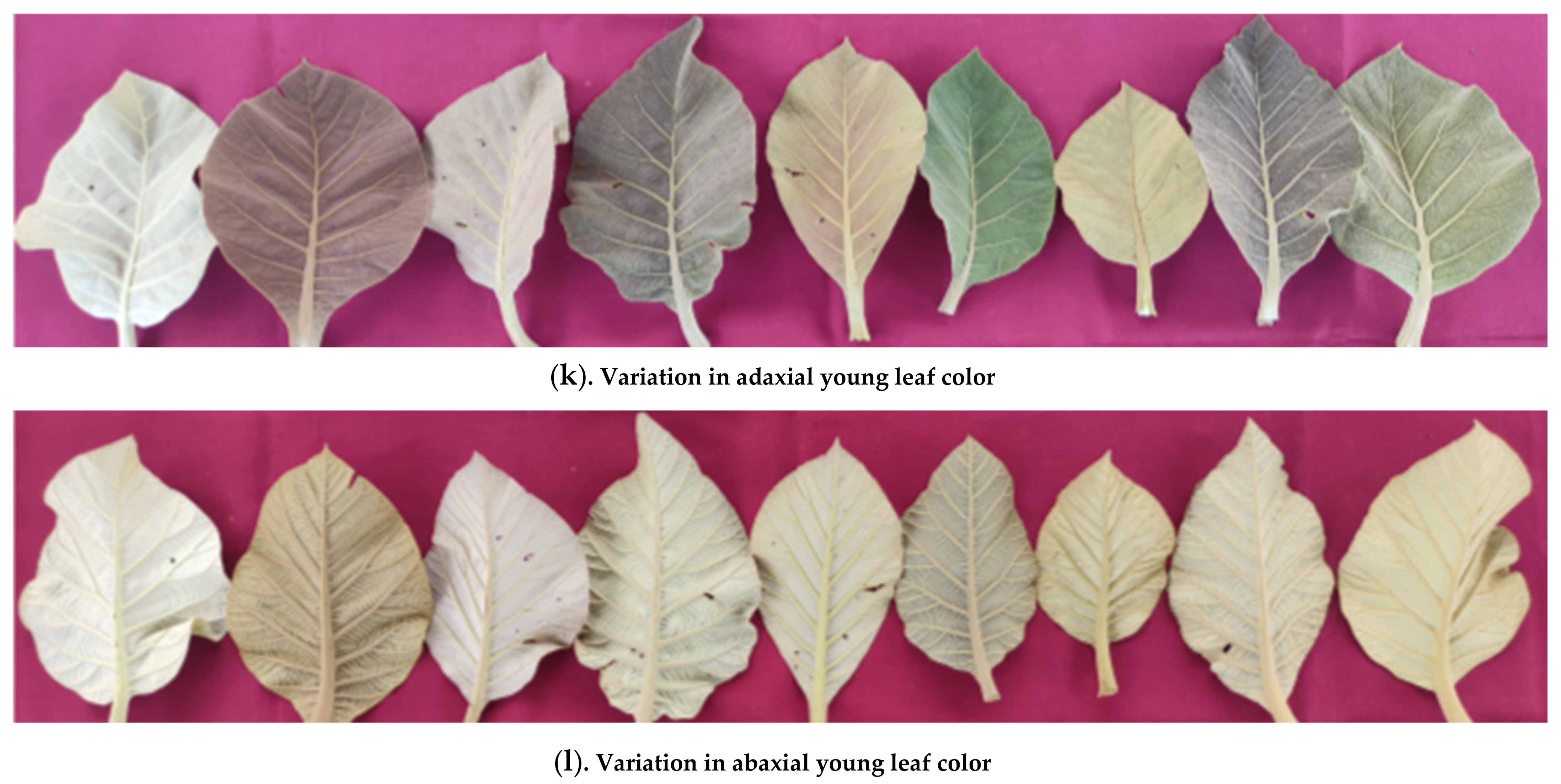 Sustainability 14 12012 g002b 550