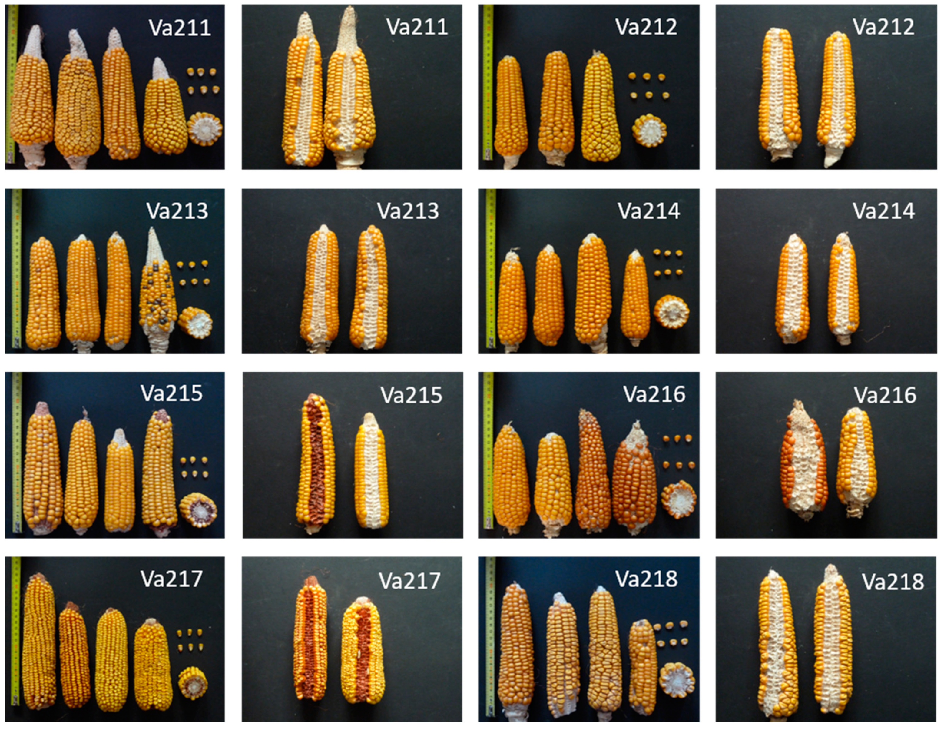 Sustainability 14 12110 g001