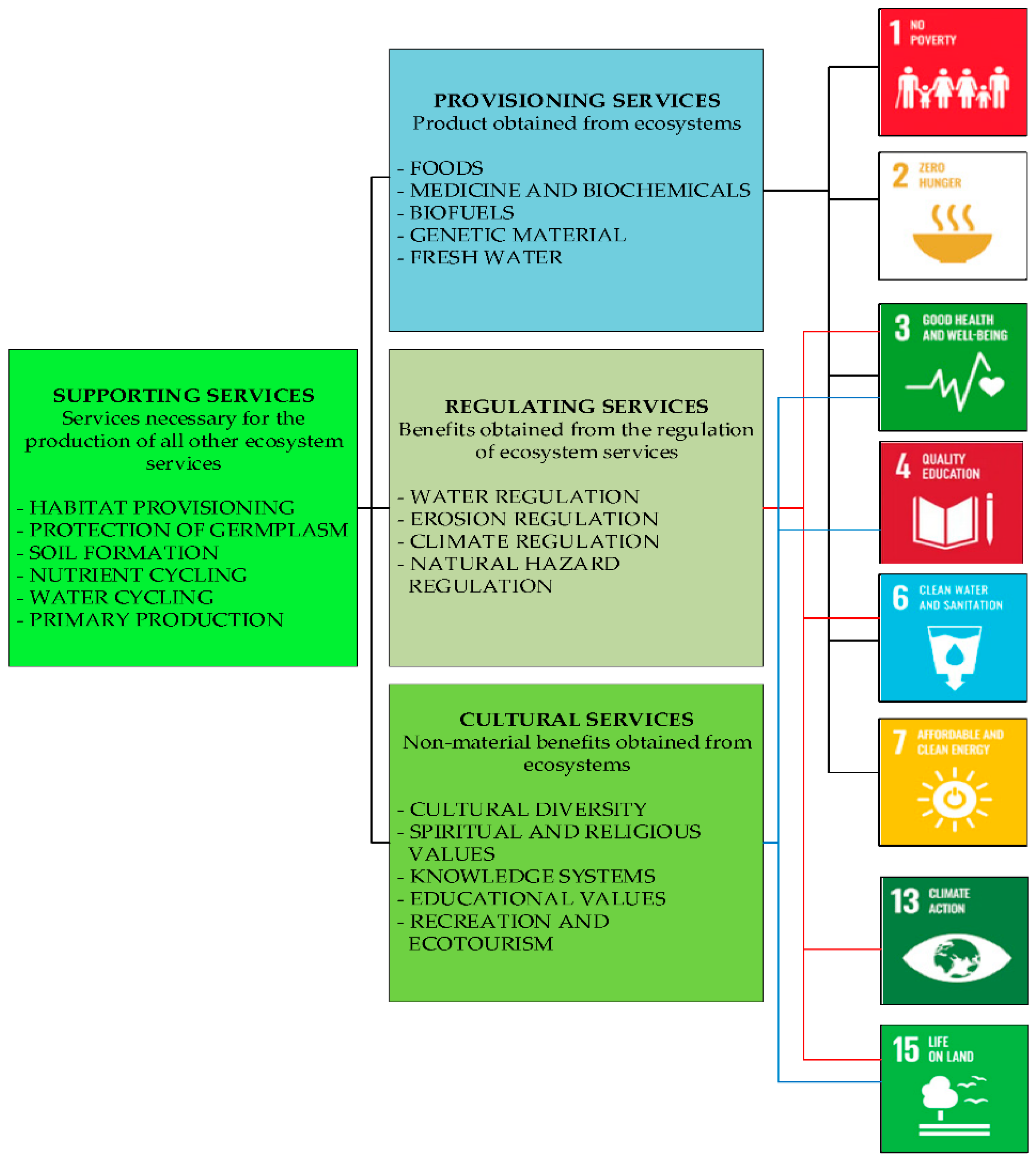 Partner Webinar Series: Integrating Public Health into Forest and Fire  Management — Association for Fire Ecology