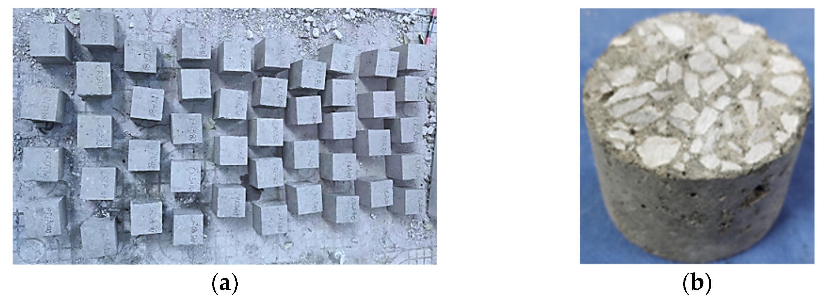 Sustainability 14 12125 g004 550