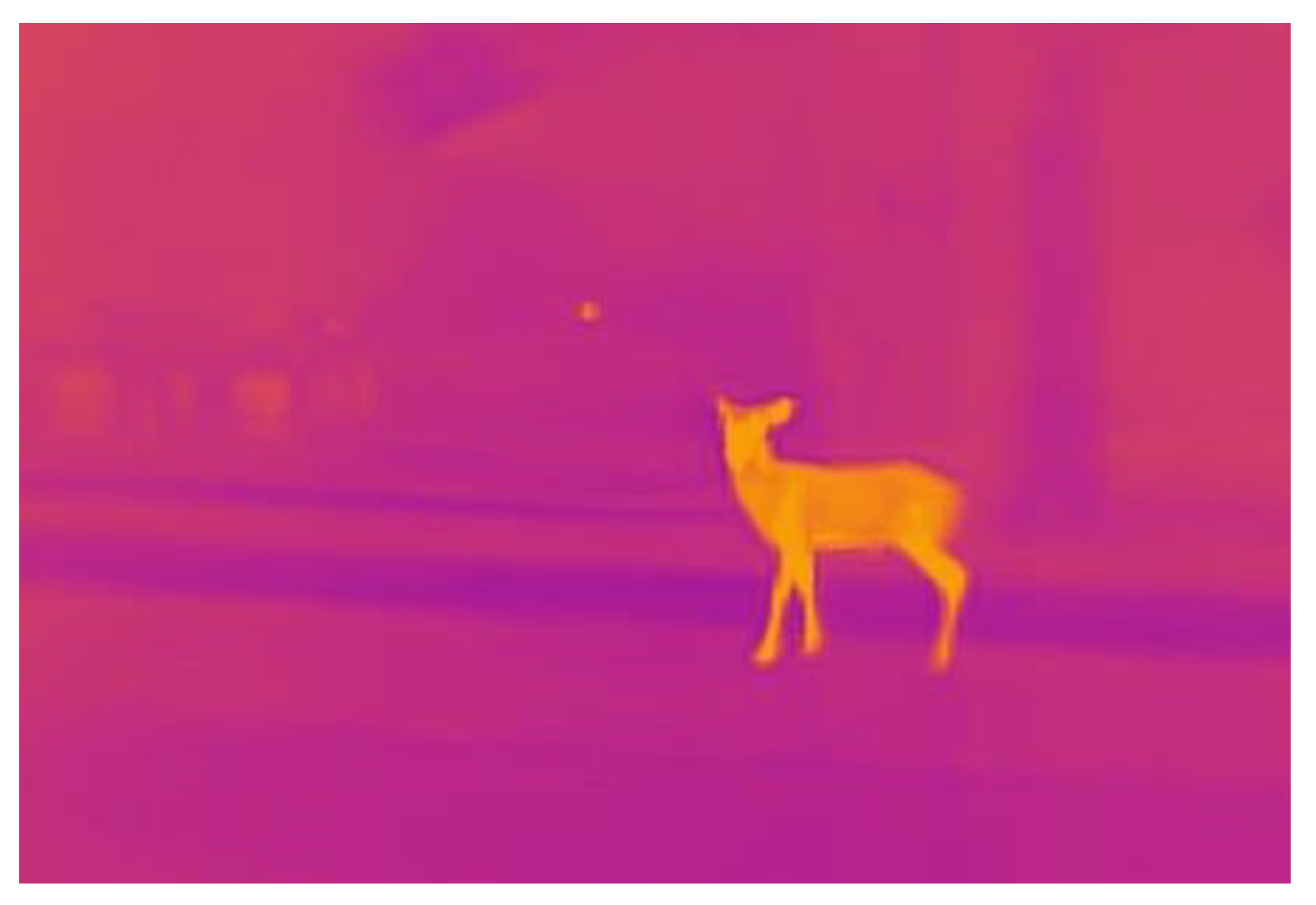 Sustainability | Free Full-Text | Improving Road Safety during Nocturnal  Hours by Characterizing Animal Poses Utilizing CNN-Based Analysis of  Thermal Images