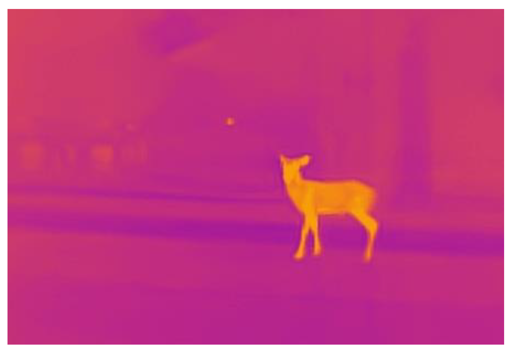 Sustainability | Free Full-Text | Improving Road Safety during Nocturnal Hours by Characterizing Animal Poses Utilizing CNN-Based Analysis of Thermal Images Sustainability | Free Full-Text | Improving Road Safety during Nocturnal Hours by Characterizing Animal Poses Utilizing CNN-Based Analysis of Thermal Images