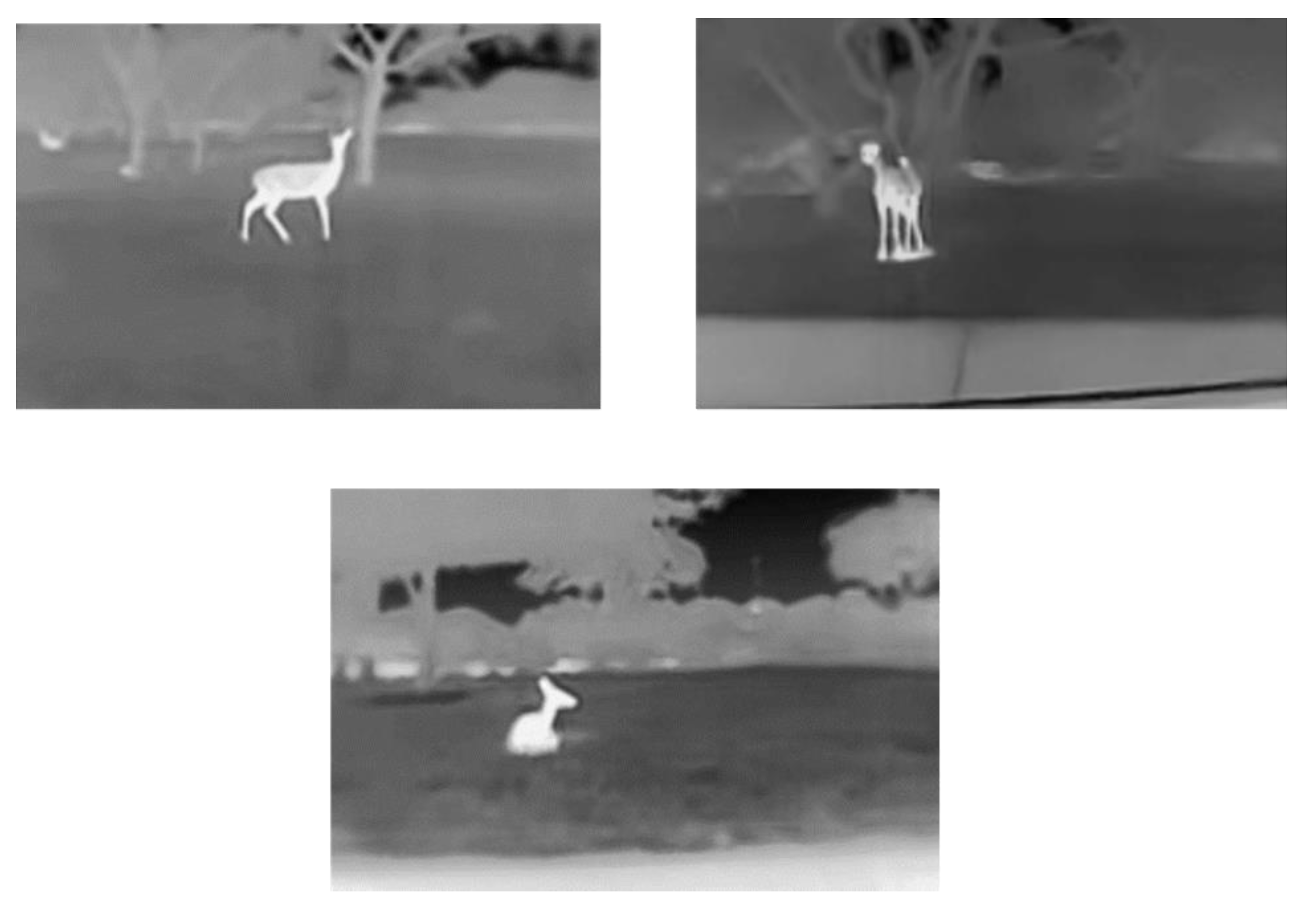 Sustainability 14 12133 g007