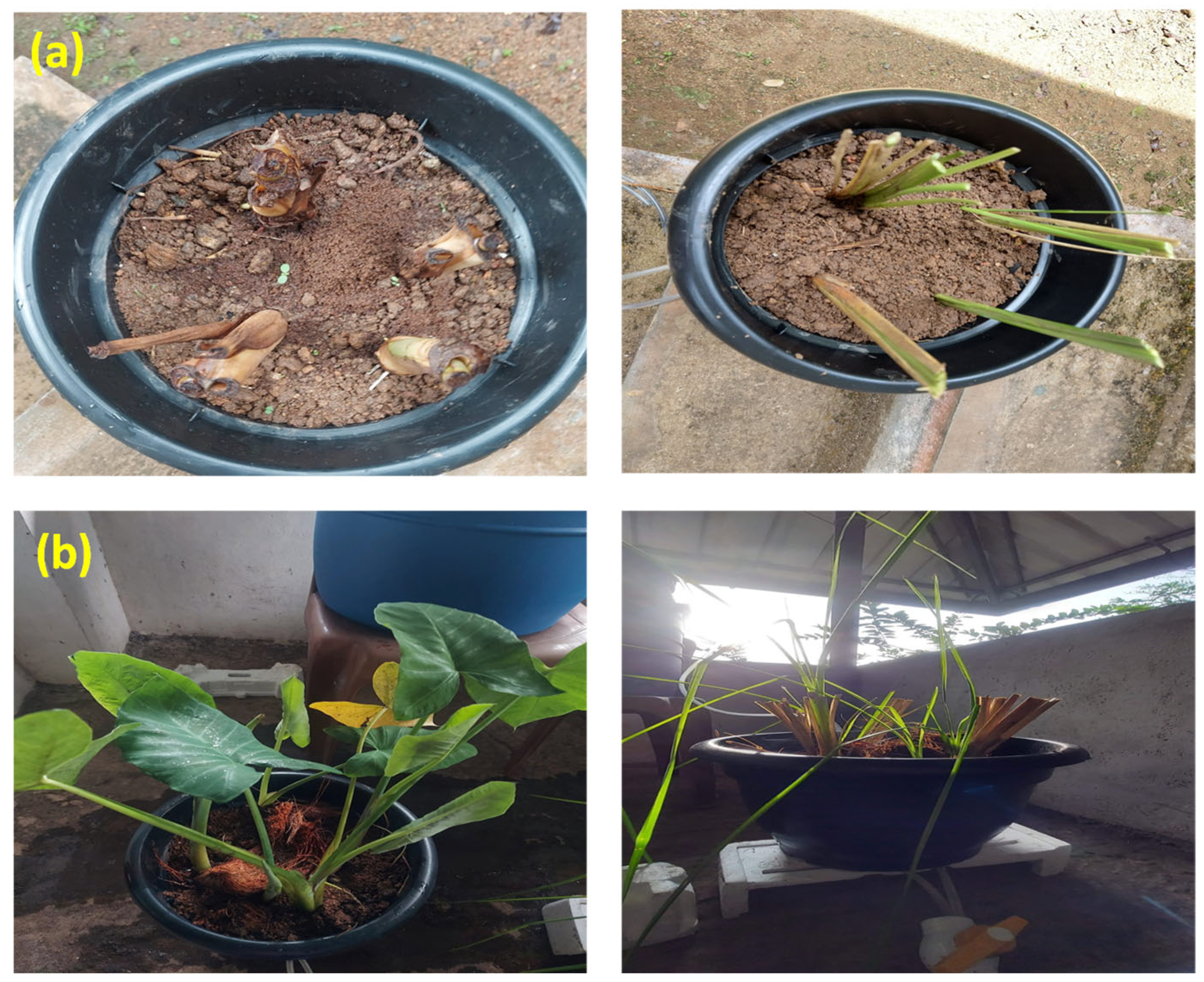 Sustainability 14 12141 g003