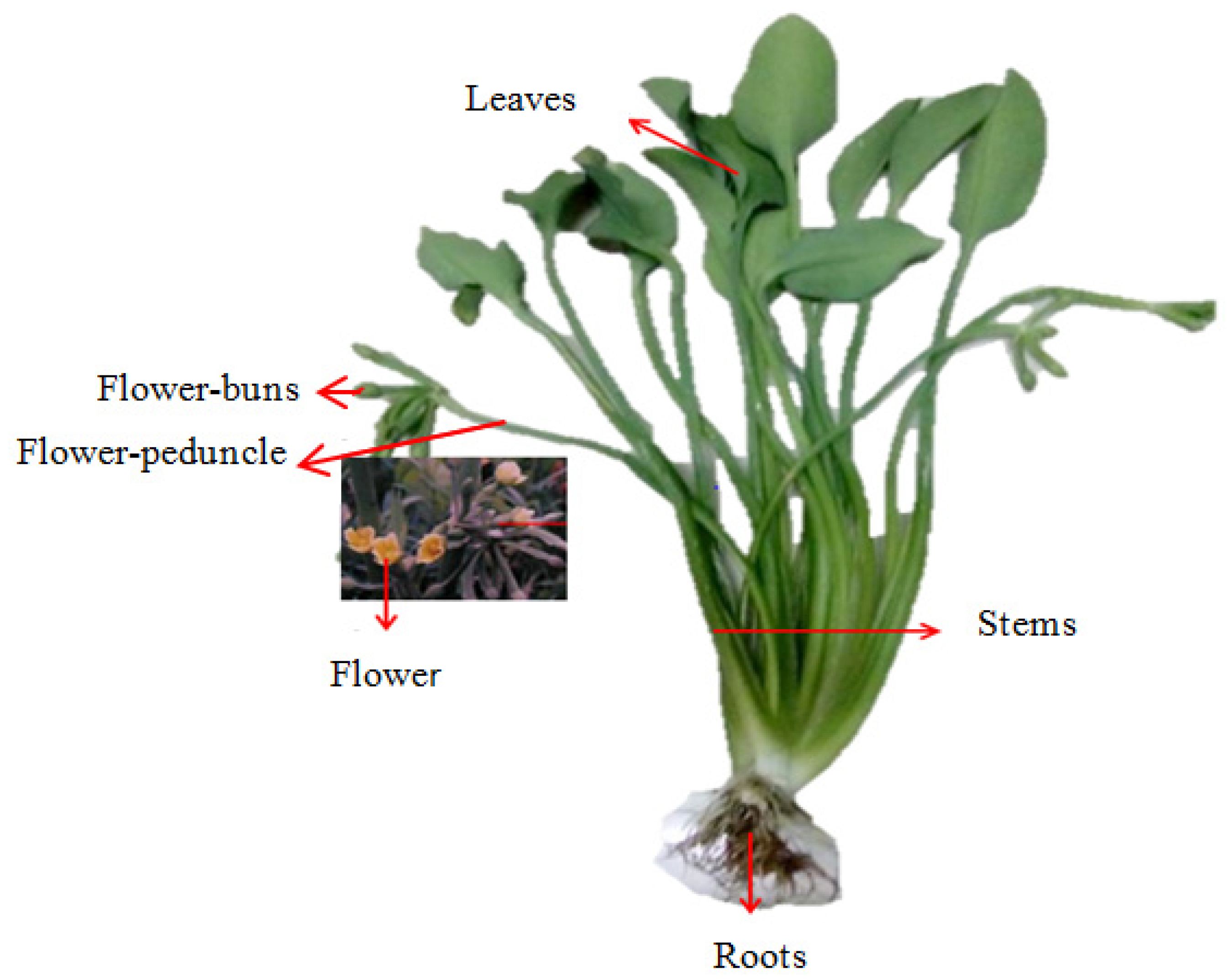 Sustainability 14 12209 g002