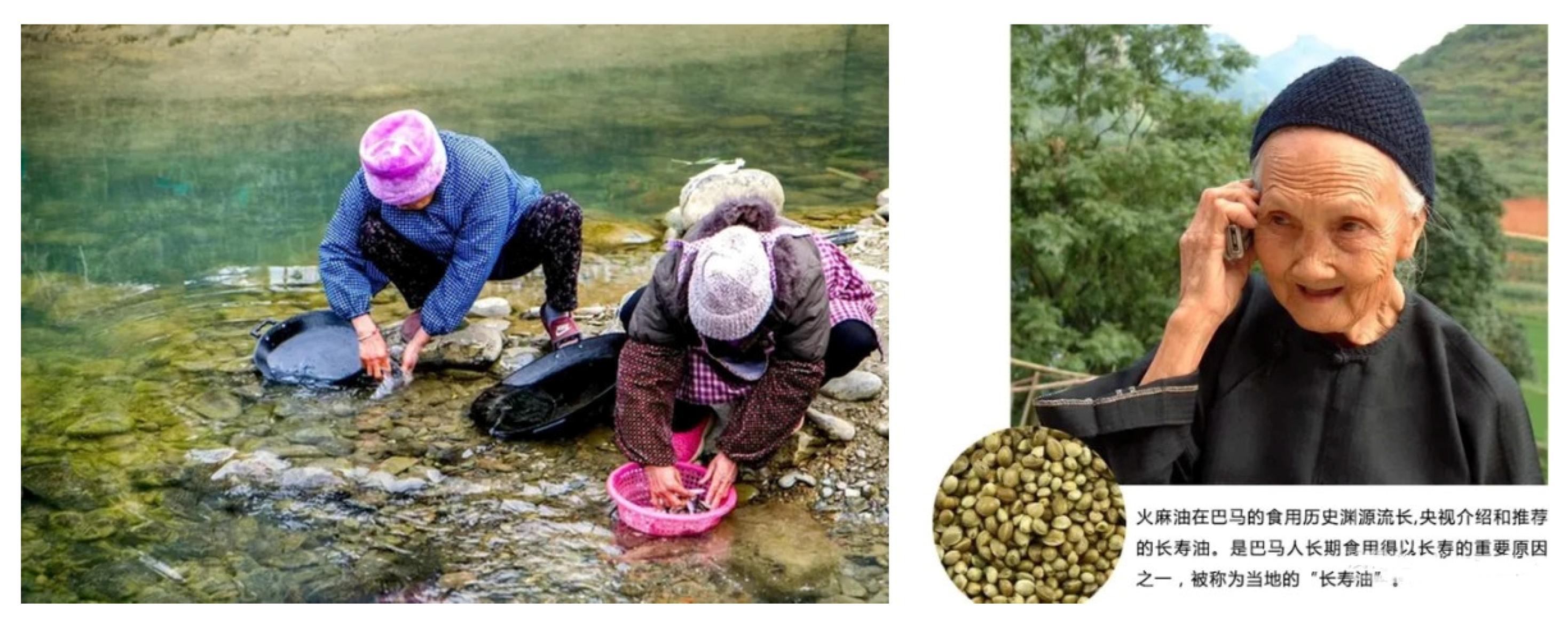 Sustainability 14 12219 g006