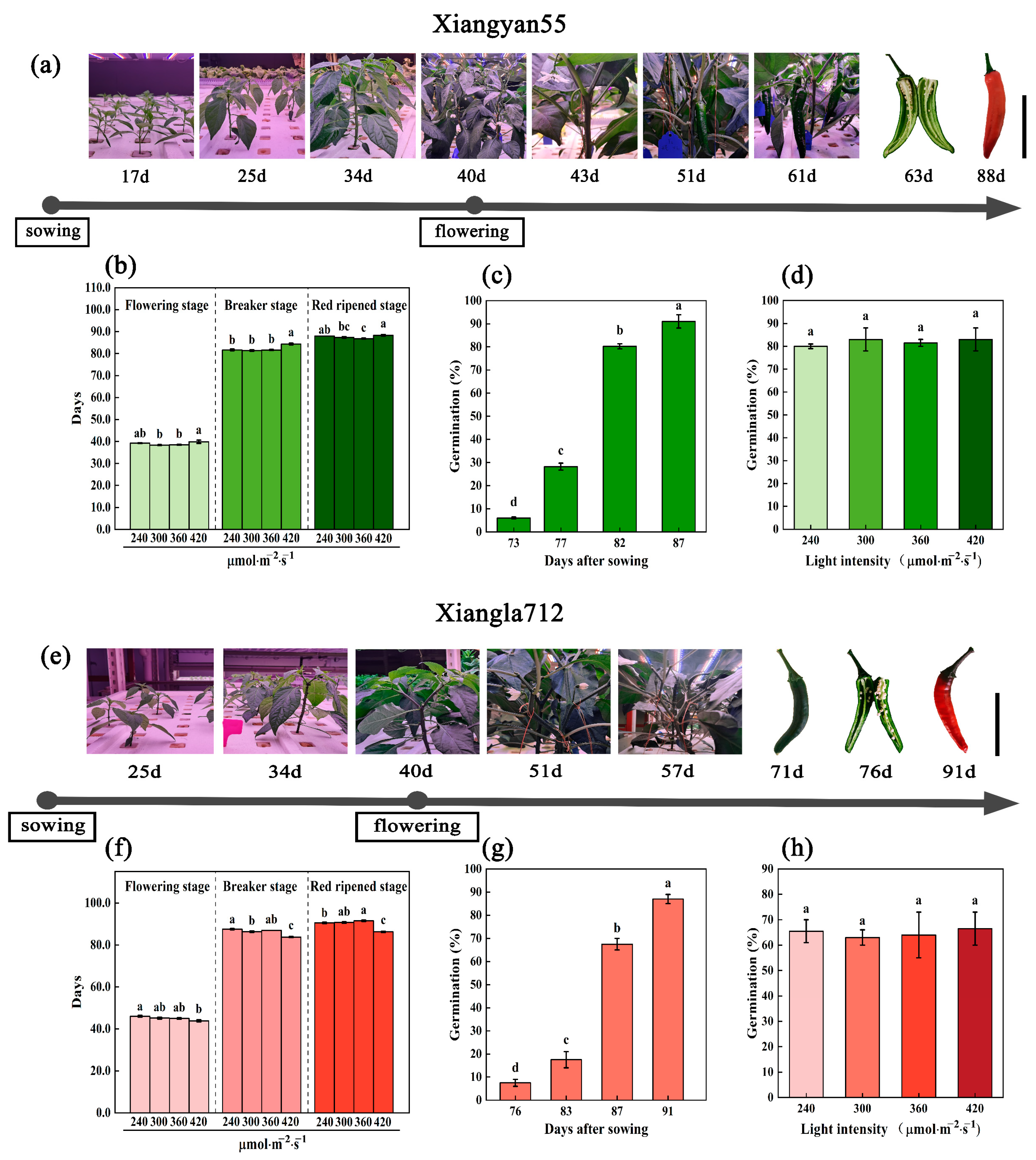 Sustainability 14 12225 g001