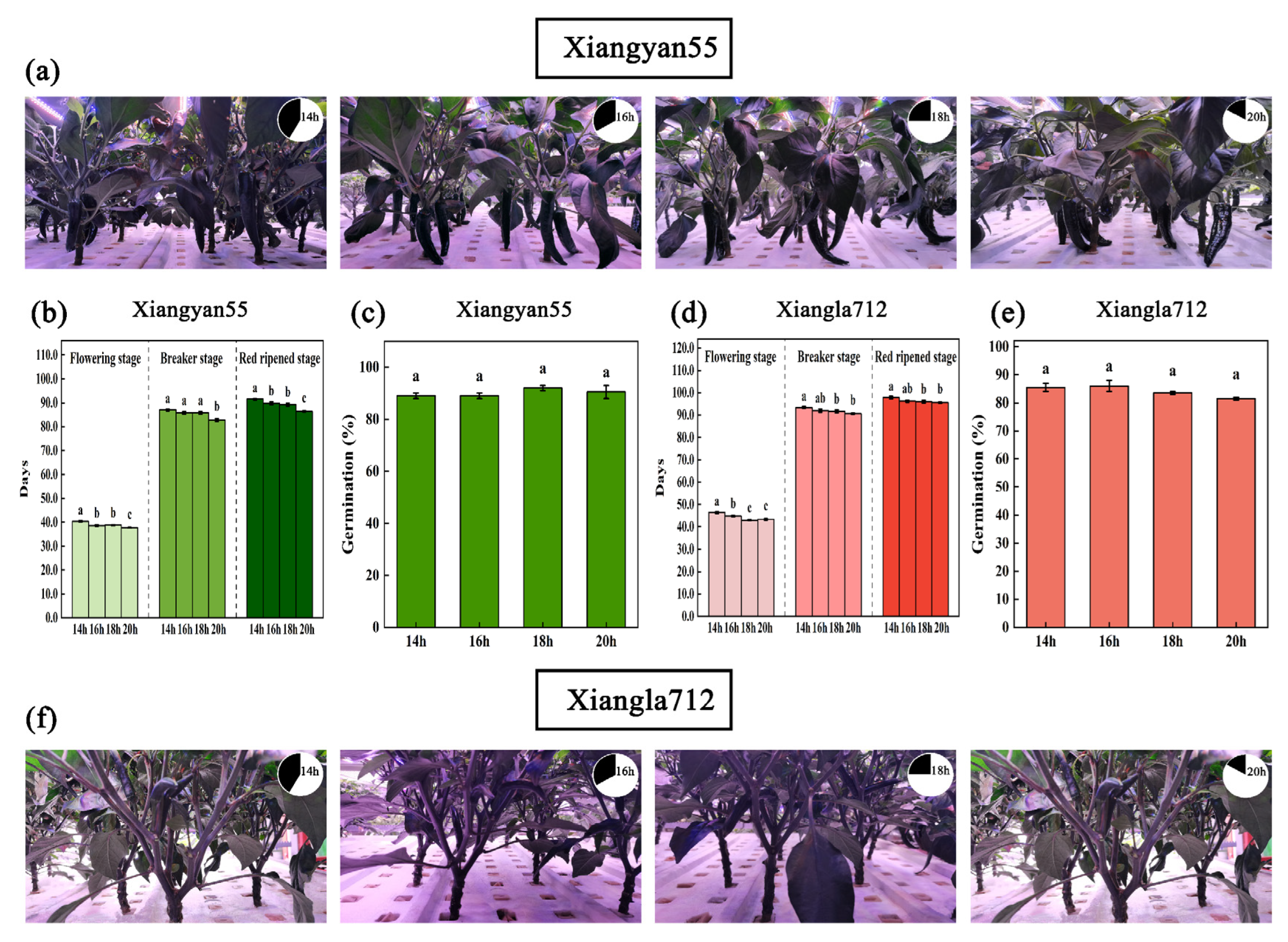 Sustainability 14 12225 g002