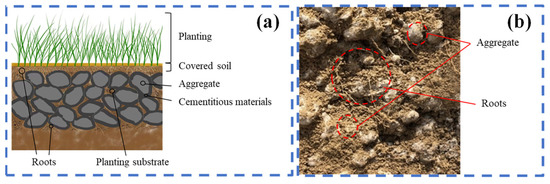 Lanshan 1 -ランシャン1- Soil Se Characteristics and the Possible Influencing Factors