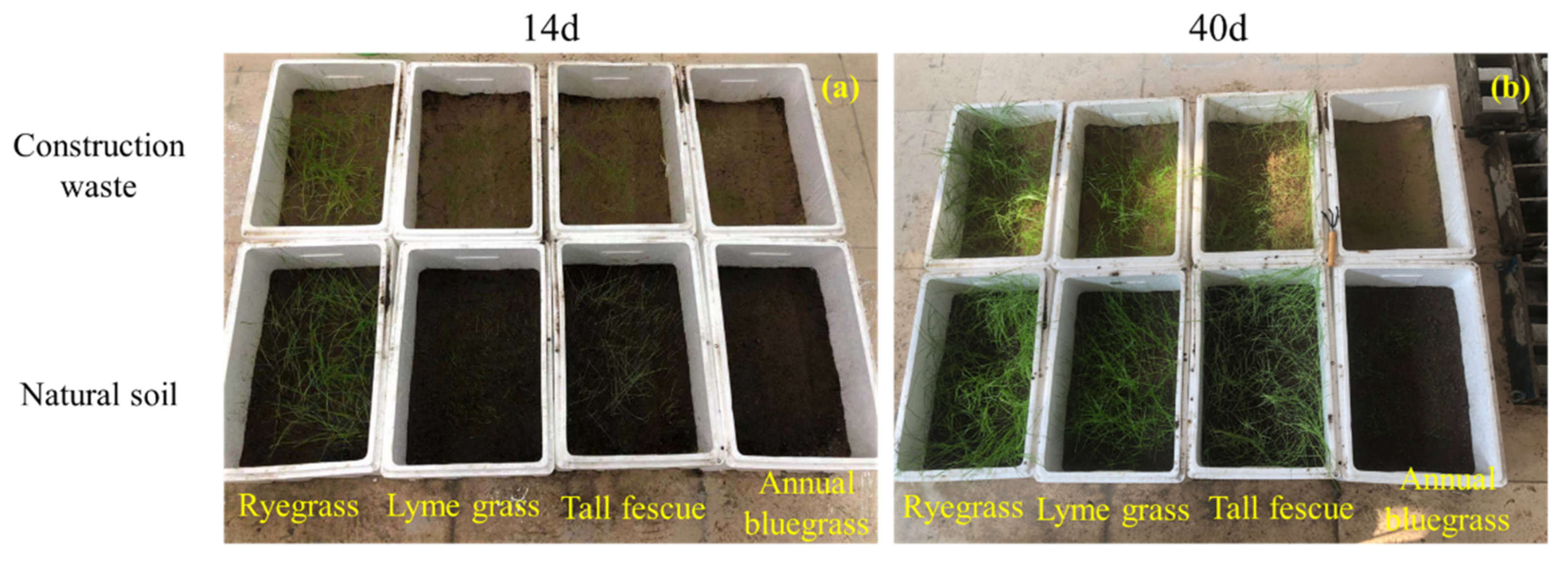 Sustainability 14 12228 g011