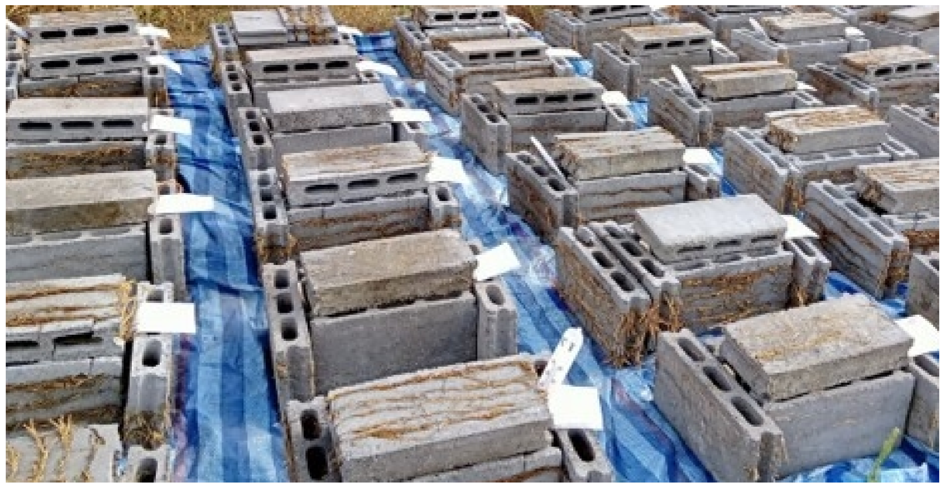 Sustainability 14 12229 g005 550