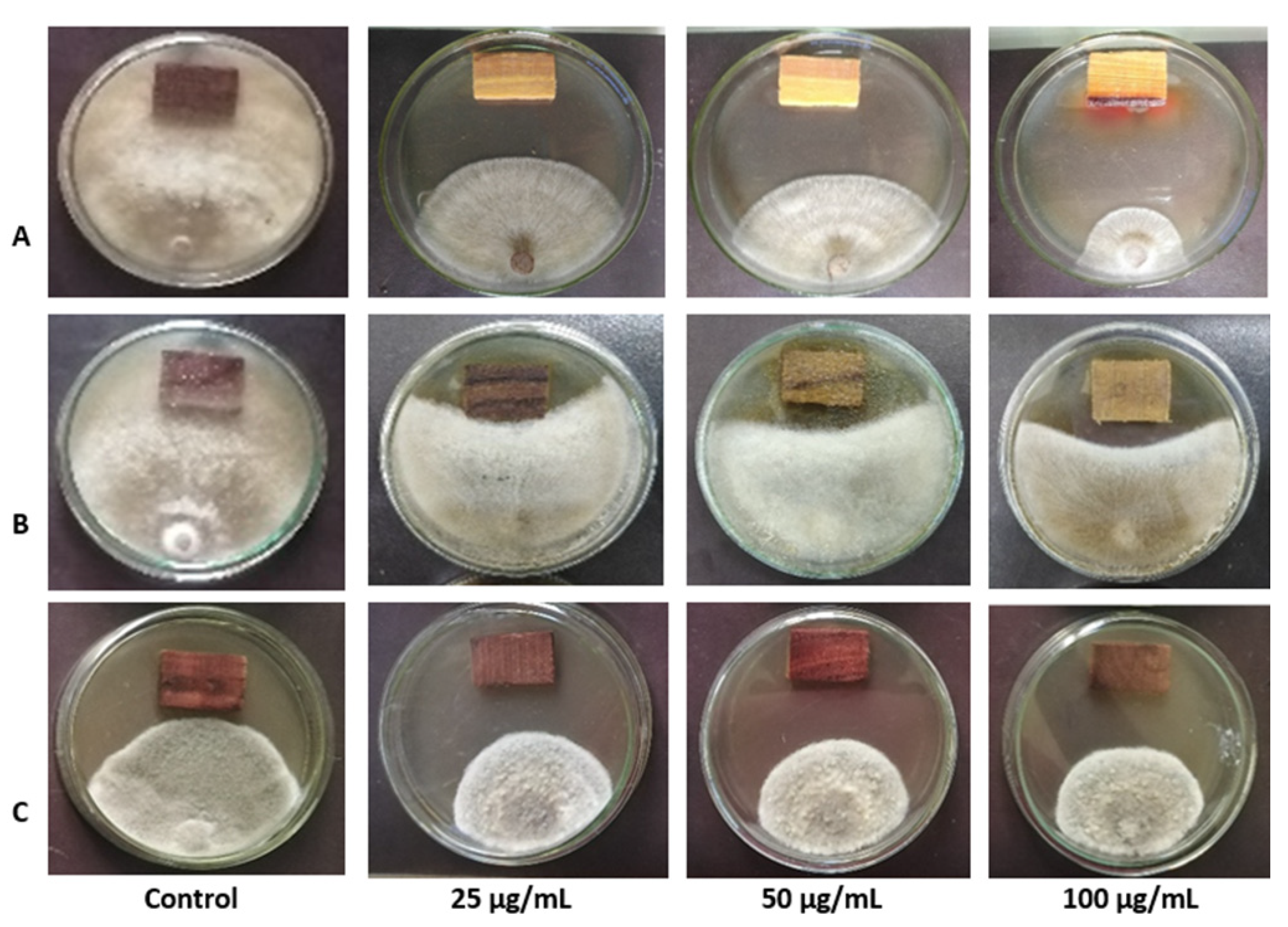 Sustainability 14 12253 g002 Sustainability 14 12253 g002