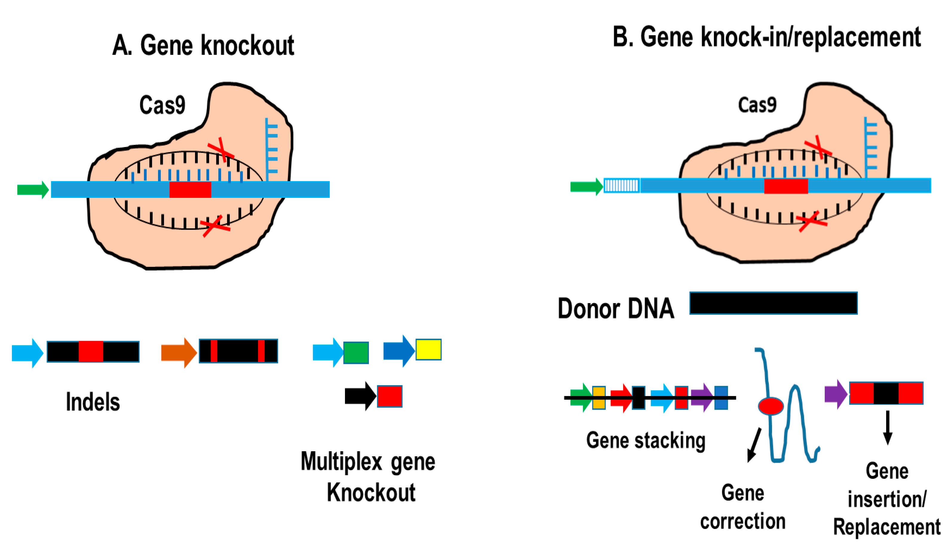 Sustainability 14 12285 g003 Sustainability 14 12285 g003