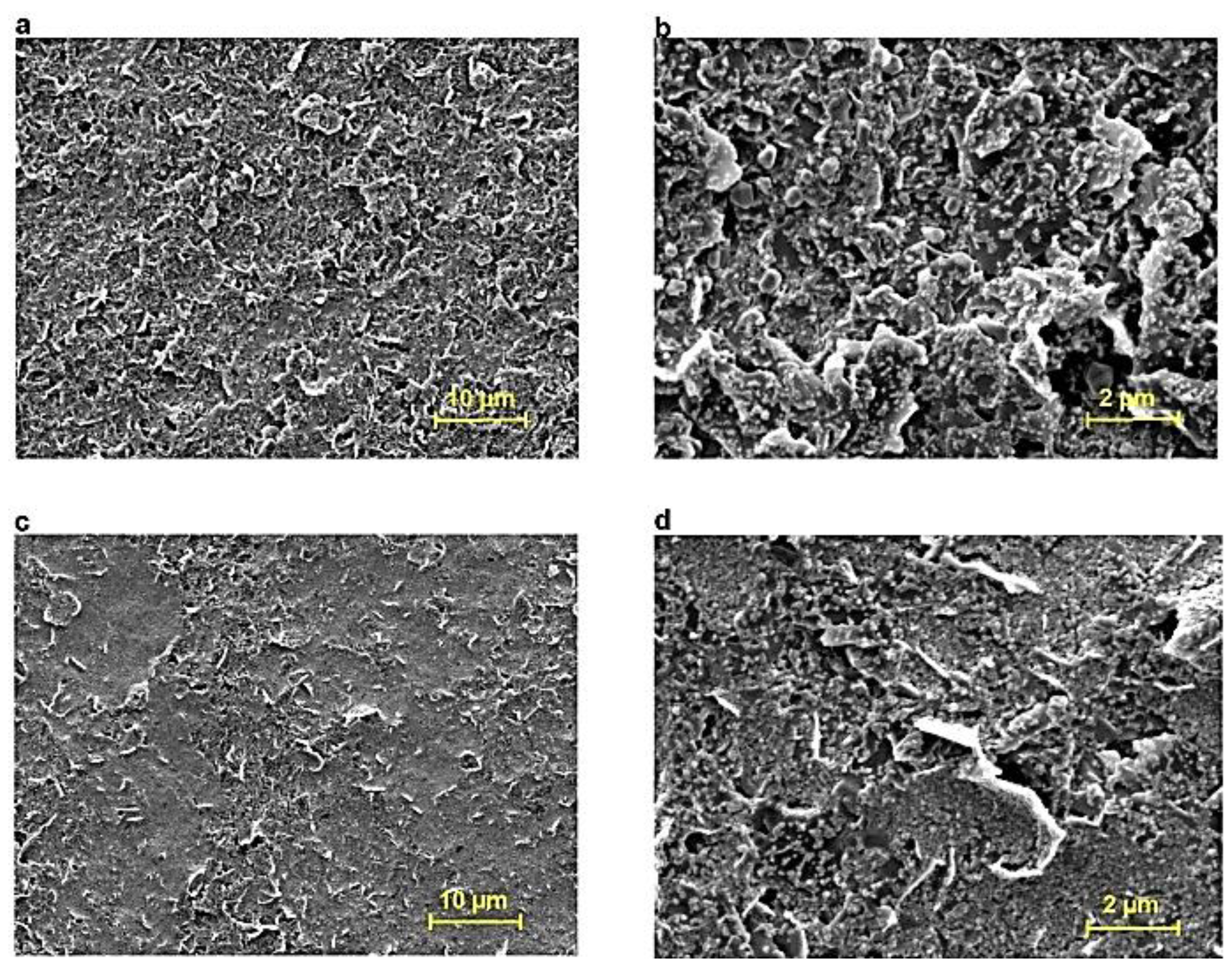 Sustainability 14 12336 g020