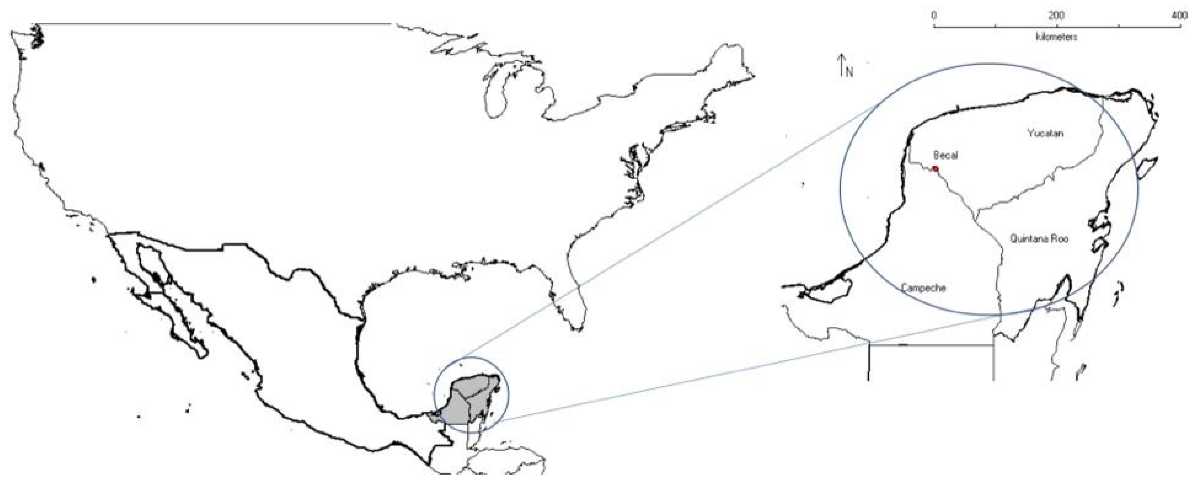 Sustainability 14 12385 g001 550