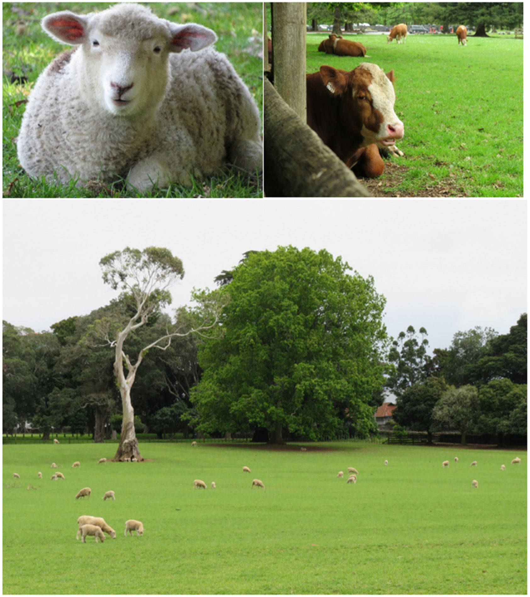 Sustainability 14 12419 g003 550