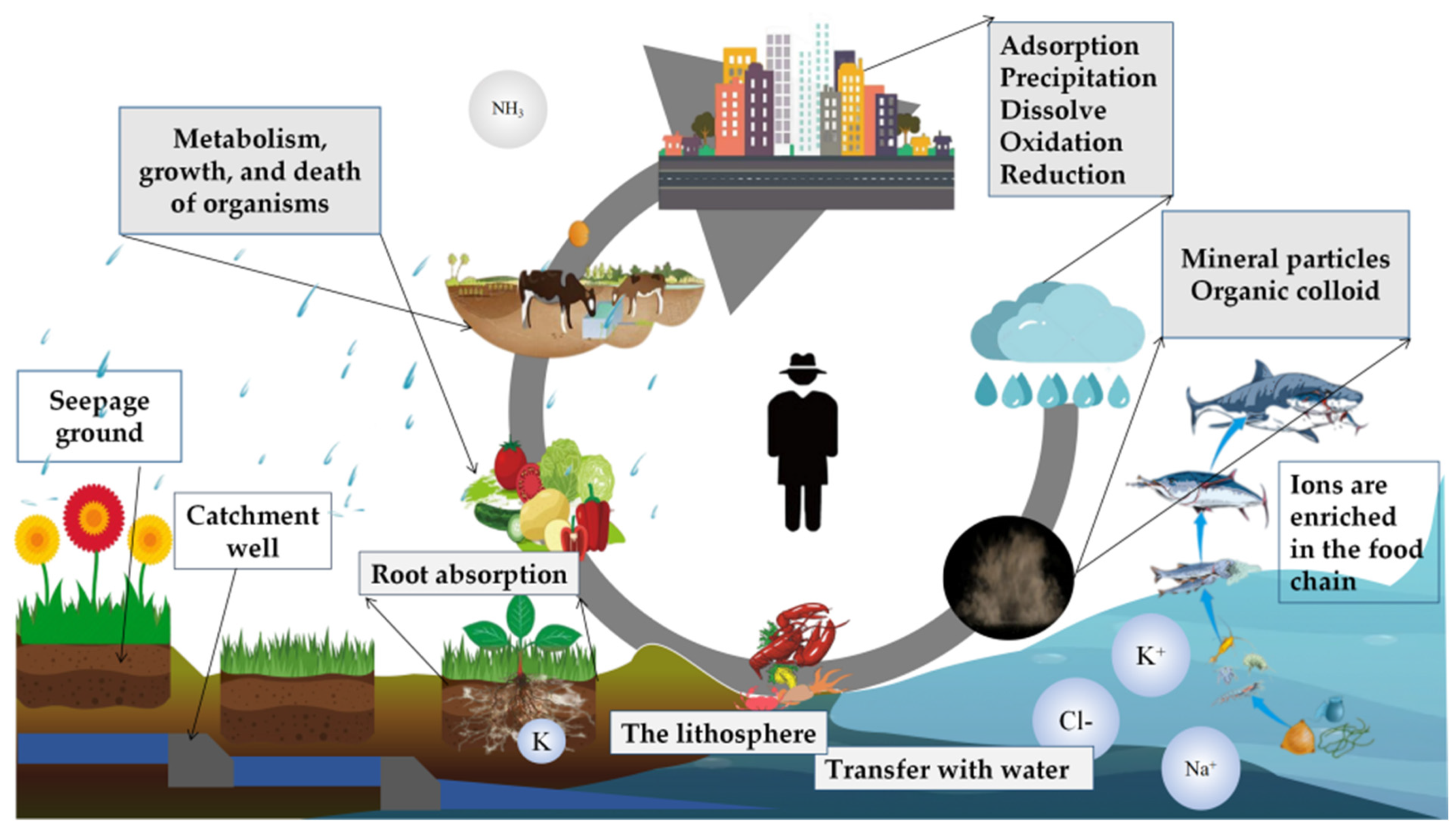 Sustainability Free FullText The Source, Transport, and Removal of