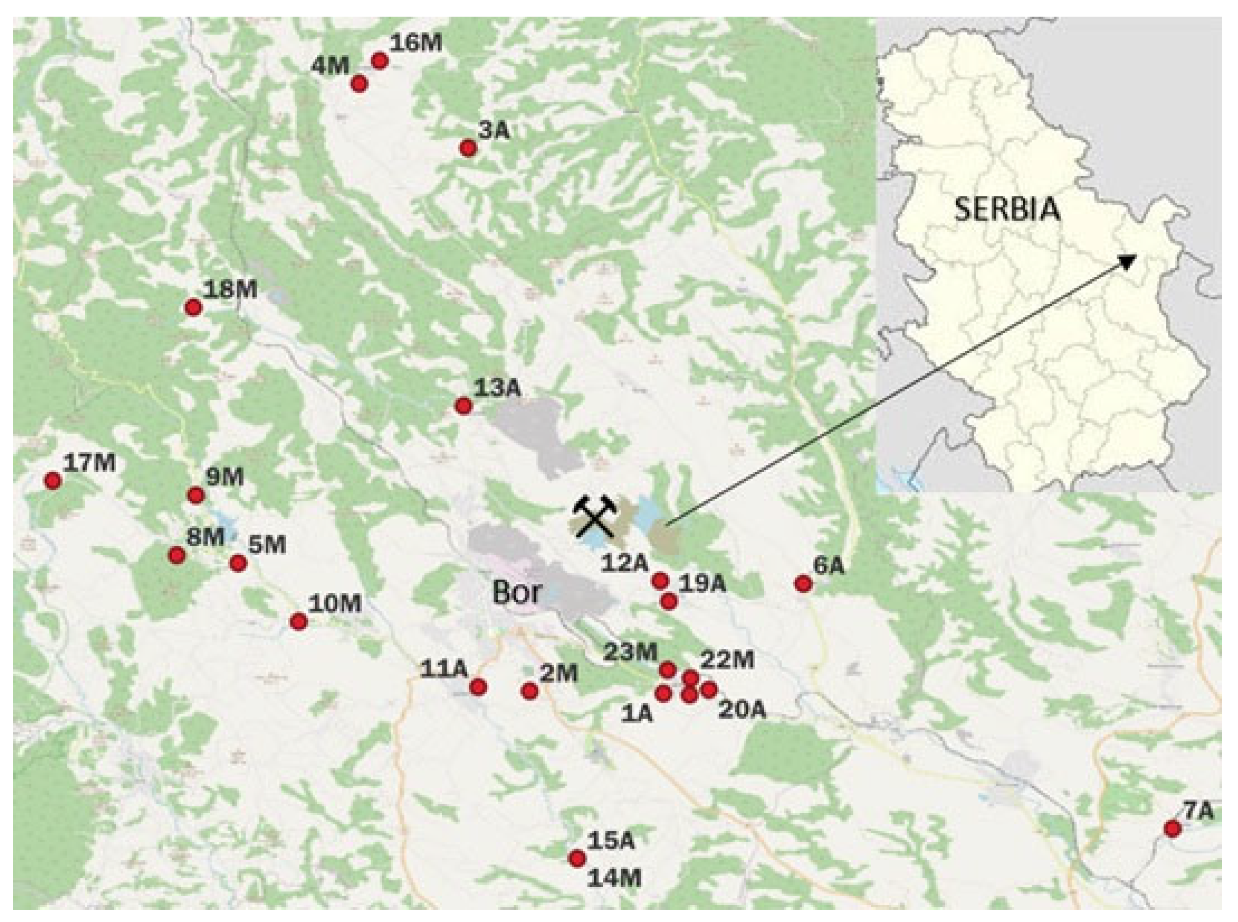Sustainability 14 12446 g001 550