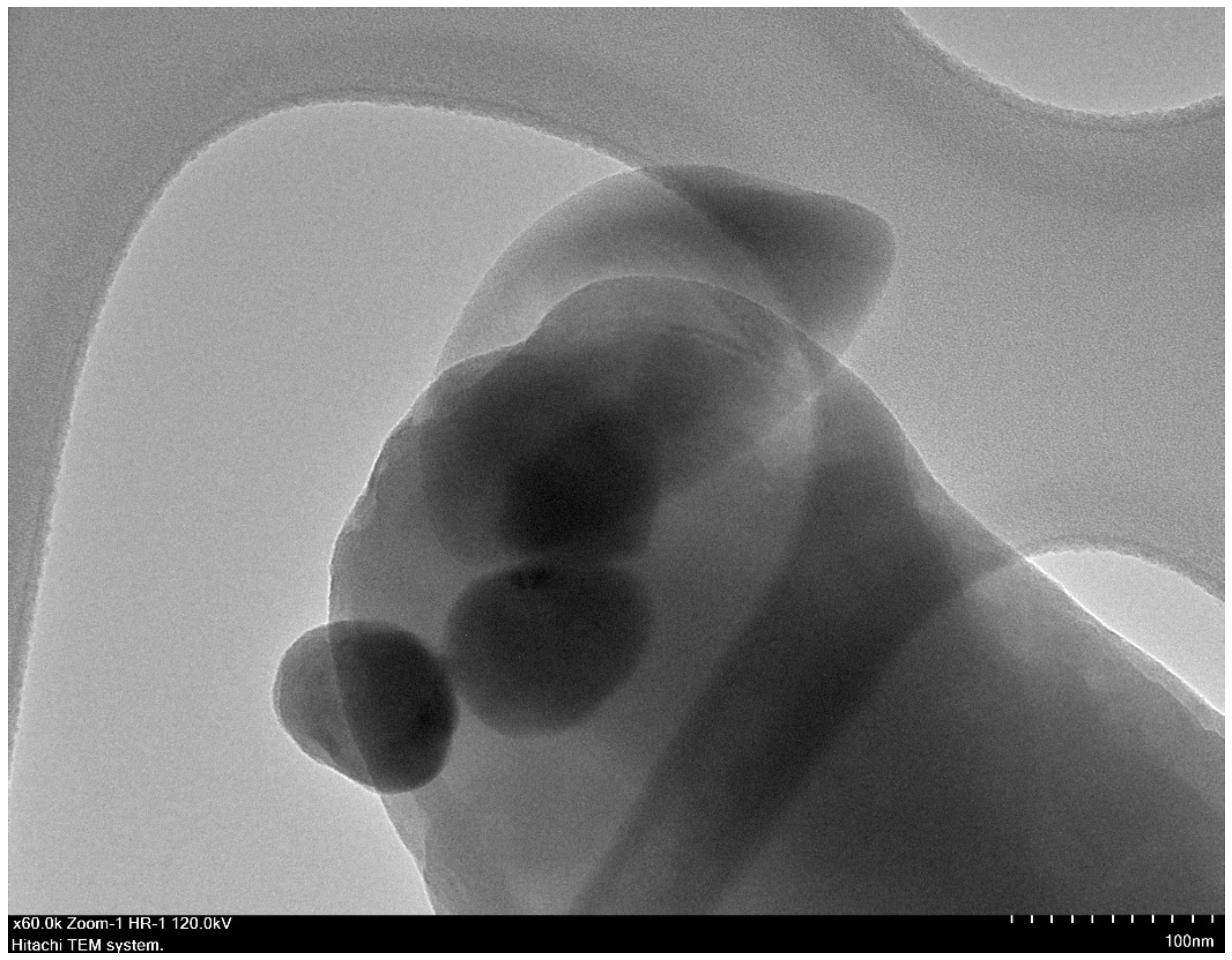 Sustainability 14 12459 g001 Sustainability 14 12459 g001