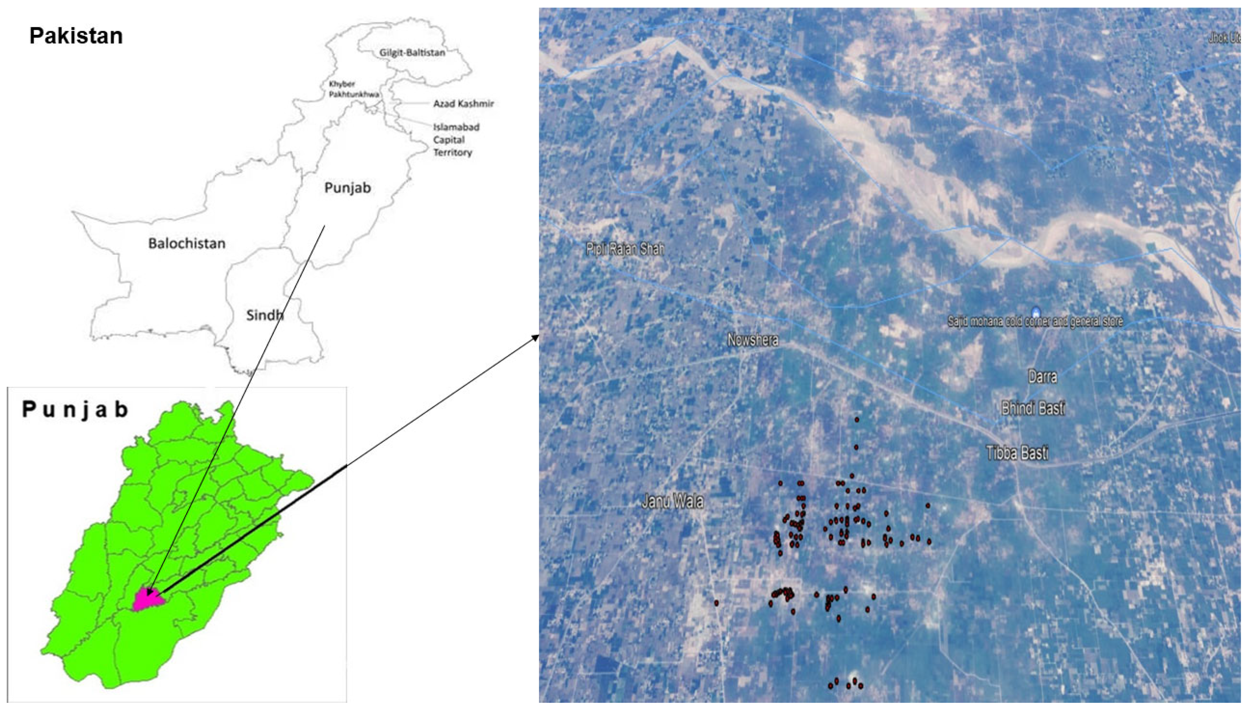 Sustainability 14 12460 g001