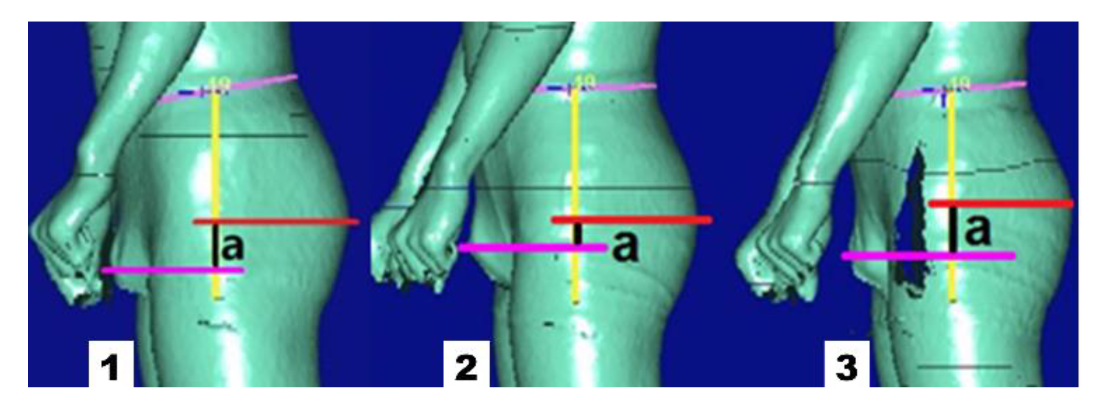 Sustainability 14 12464 g002