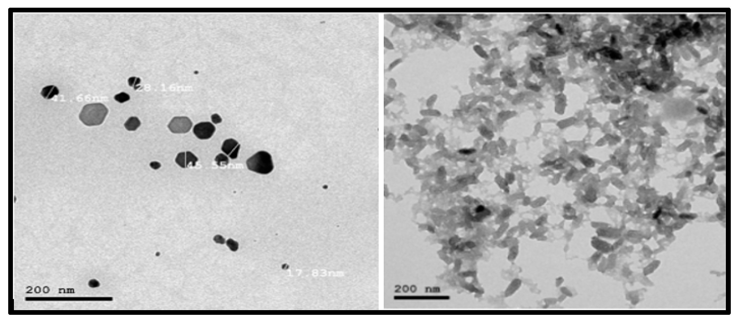 Sustainability 14 12513 g002 550