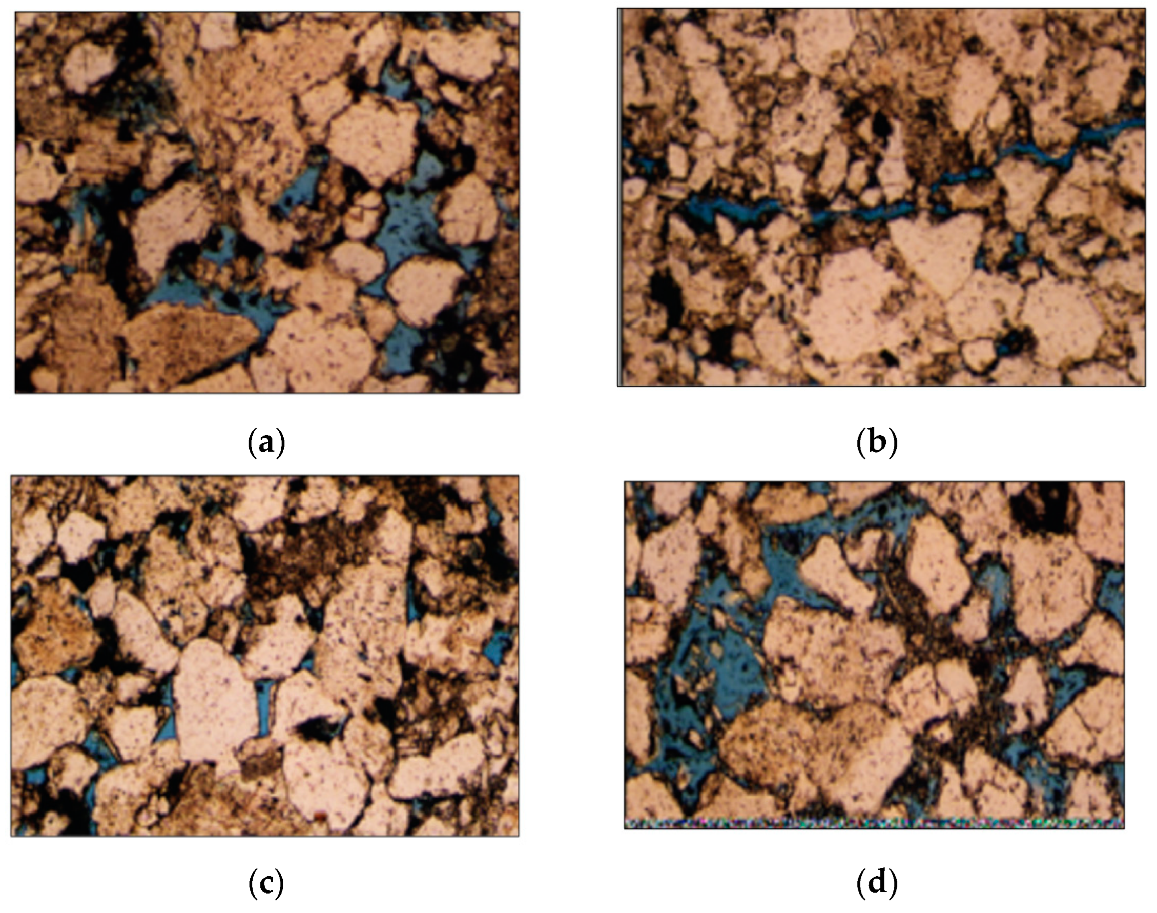 Sustainability 14 12518 g015