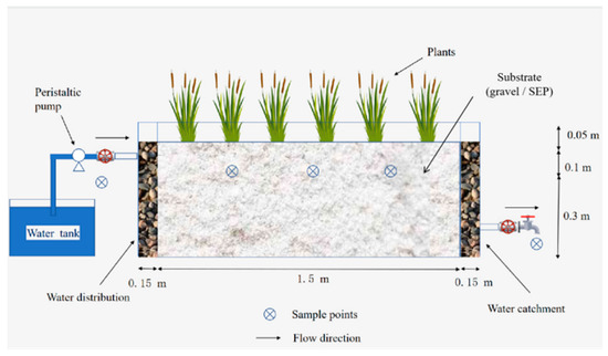 【ファッション好きが選ぶ人気ブランドランキング】 on Study Phosphorus Wetlands Constructed in Pathway Removal 香水(ユニセックス)