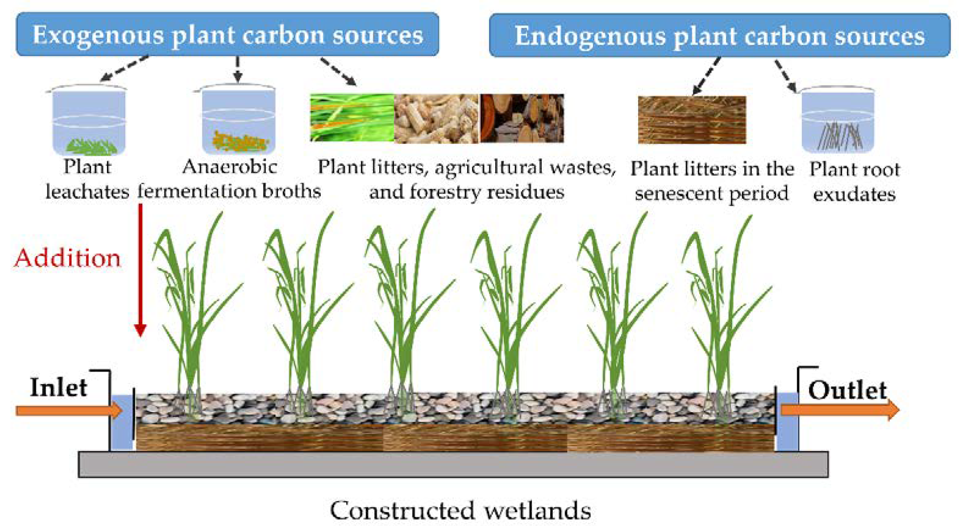 Plant Carbon Sources for Denitrification Enhancement and Its