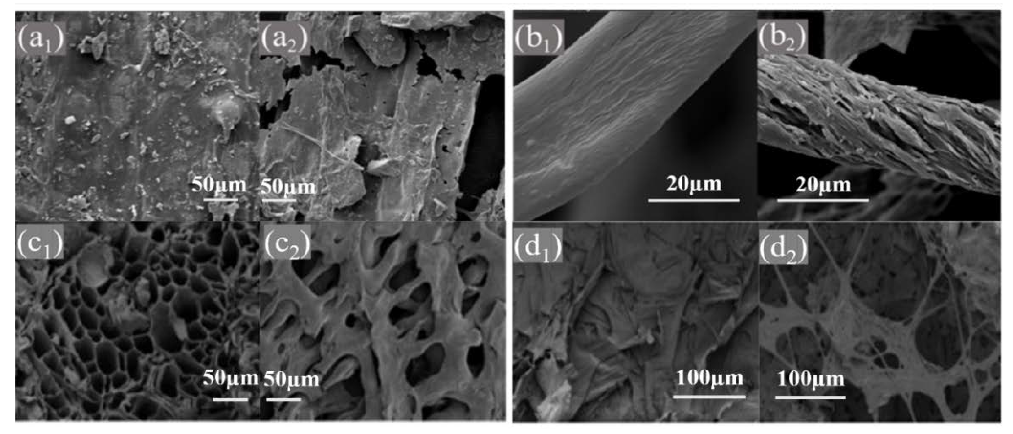 Sustainability 14 12545 g003