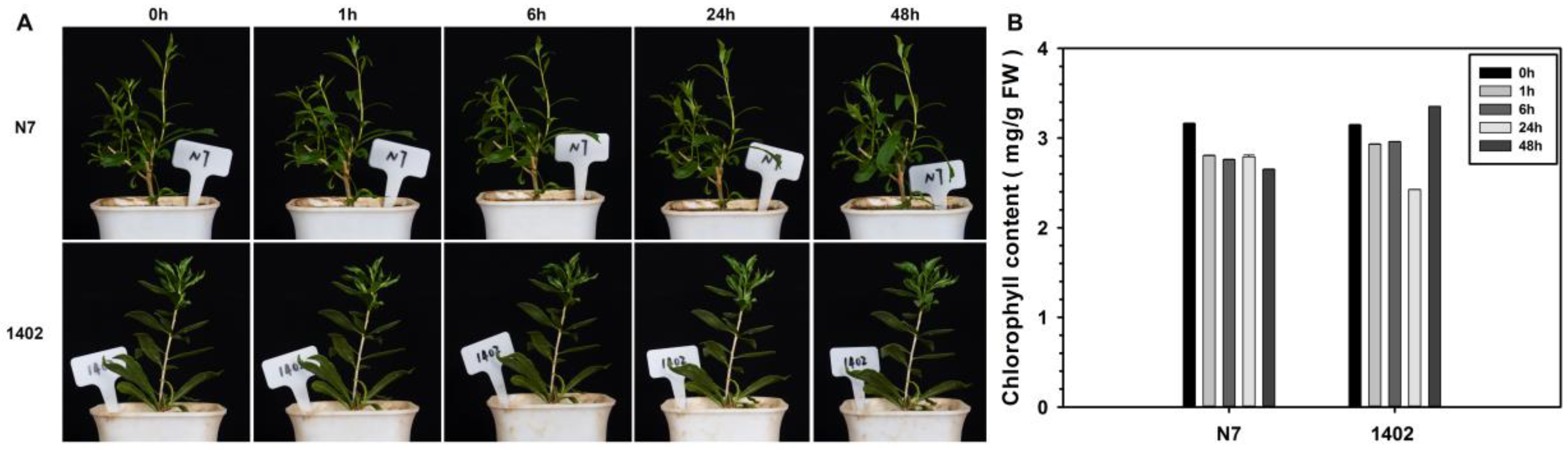 Sustainability 14 12617 g001 Sustainability 14 12617 g001
