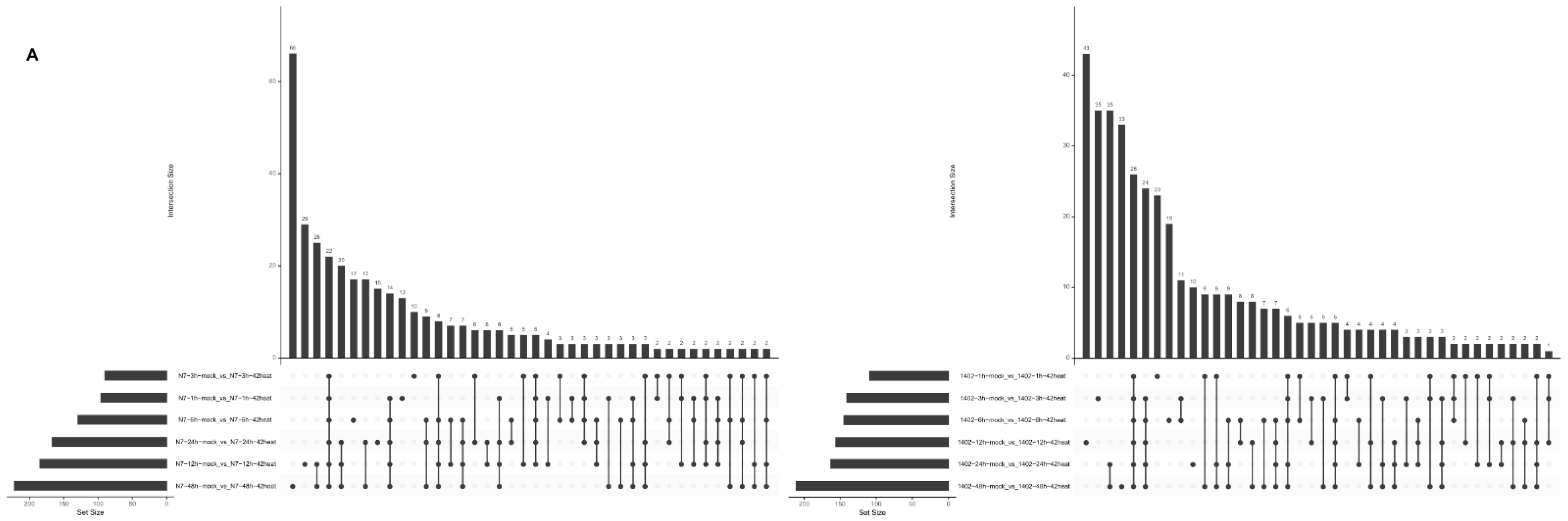 Sustainability 14 12617 g006a Sustainability 14 12617 g006a
