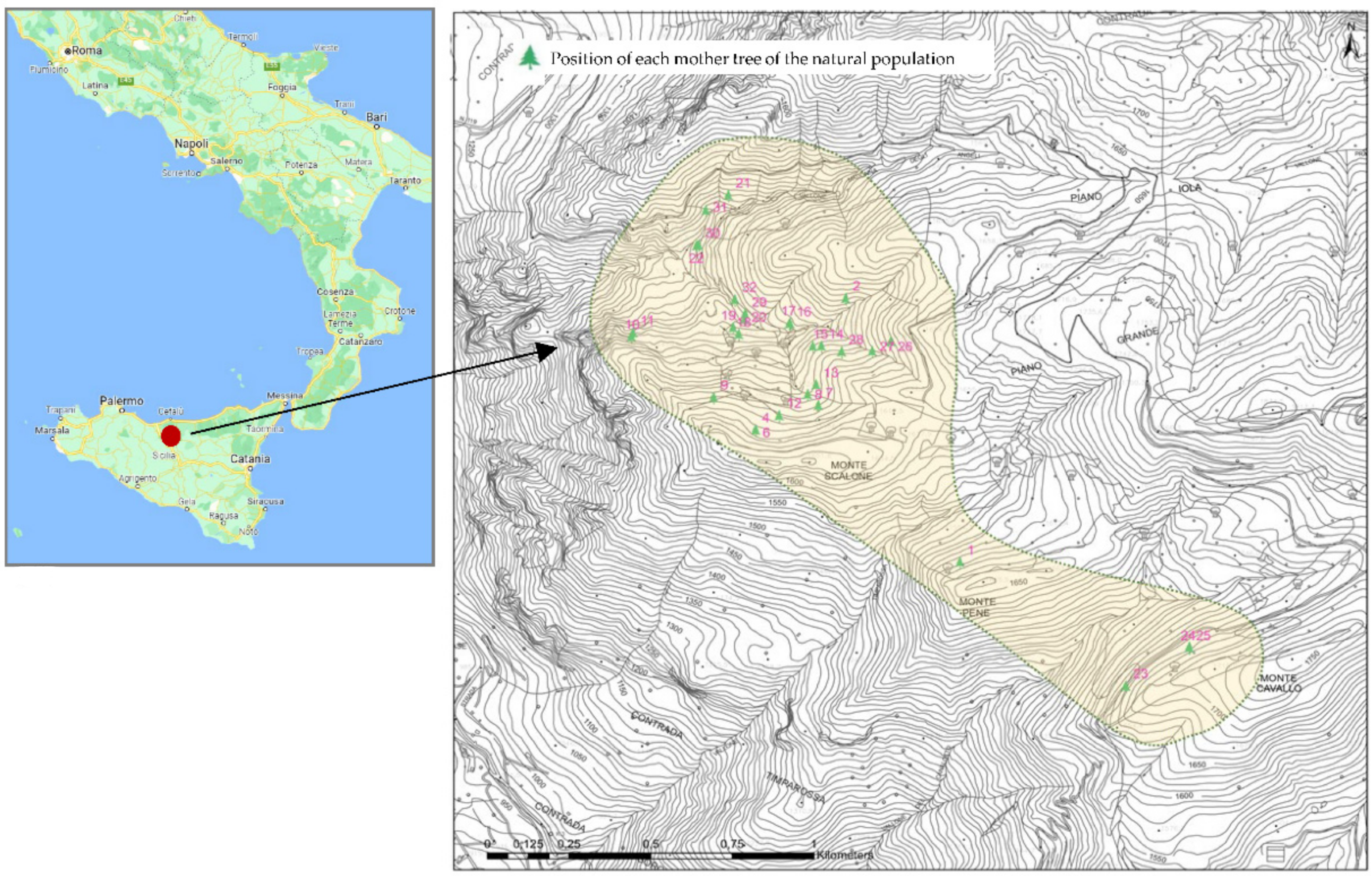 Sustainability 14 12643 g001 Sustainability 14 12643 g001