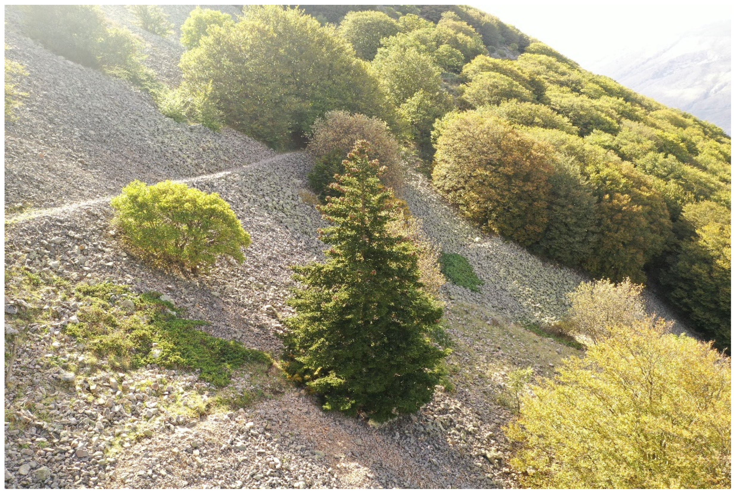 Sustainability 14 12643 g002 Sustainability 14 12643 g002