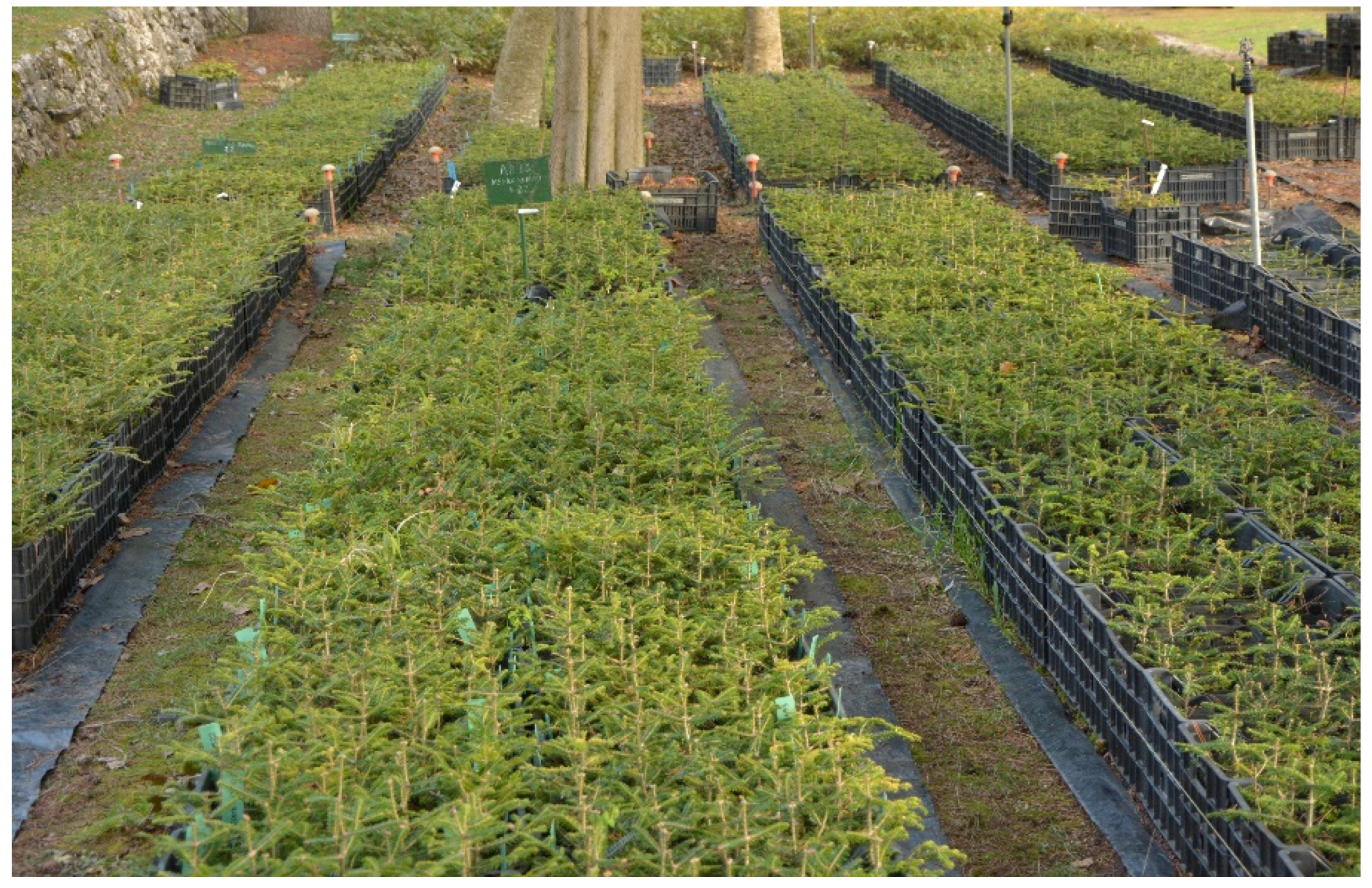 Sustainability 14 12643 g003 Sustainability 14 12643 g003