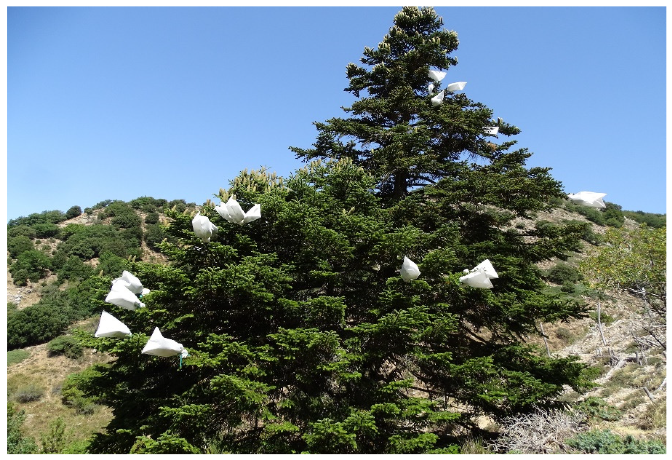 Sustainability 14 12643 g004 Sustainability 14 12643 g004