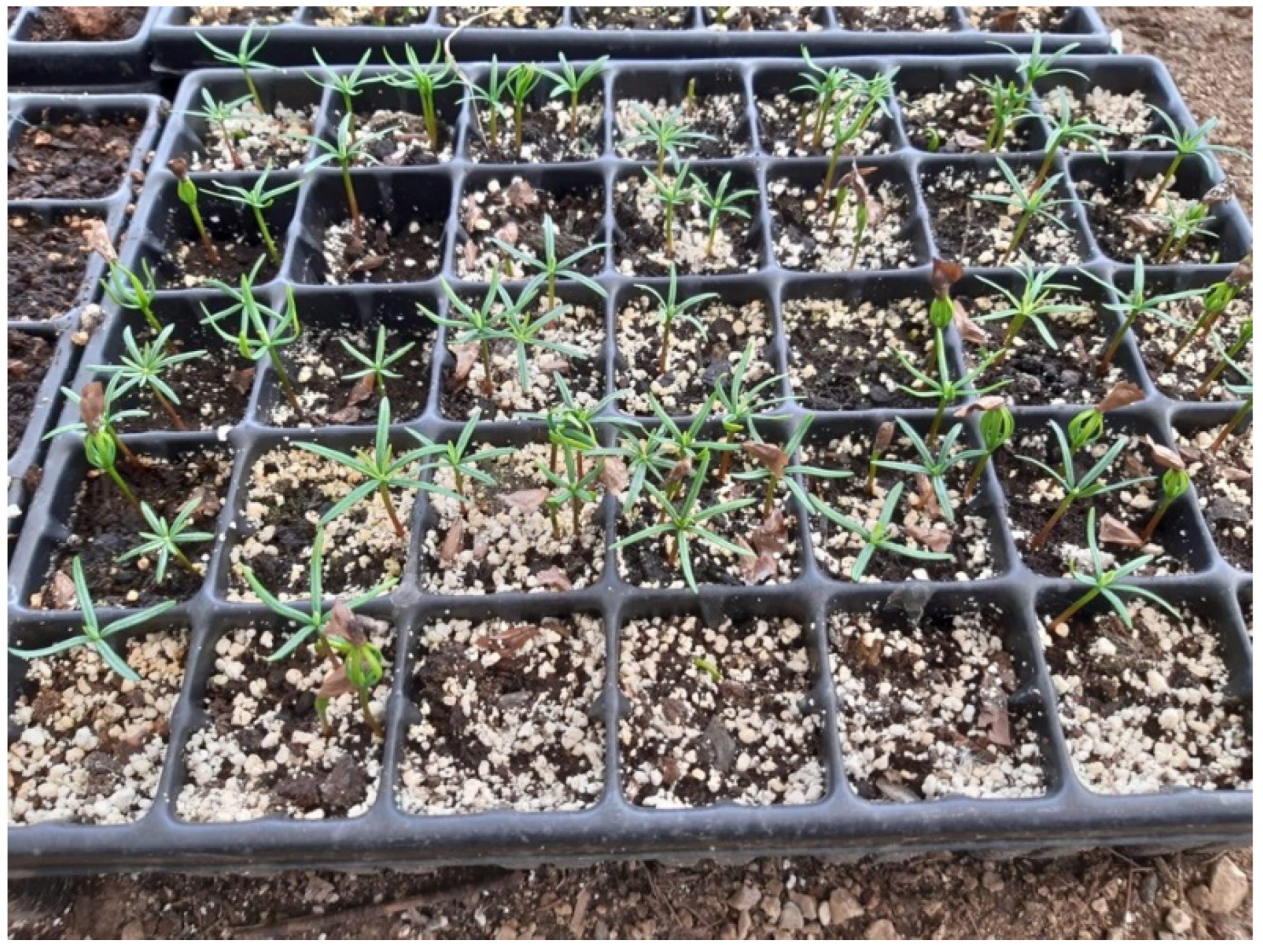 Sustainability 14 12643 g005 Sustainability 14 12643 g005