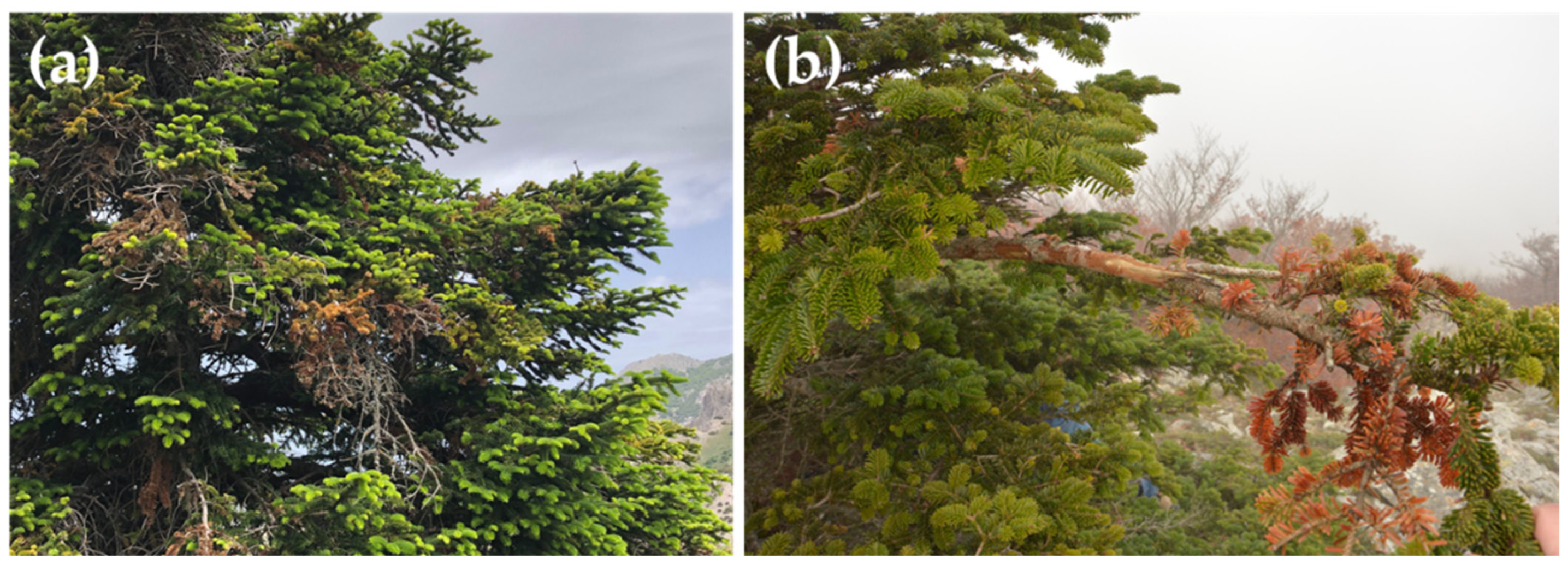 Sustainability 14 12643 g006 Sustainability 14 12643 g006