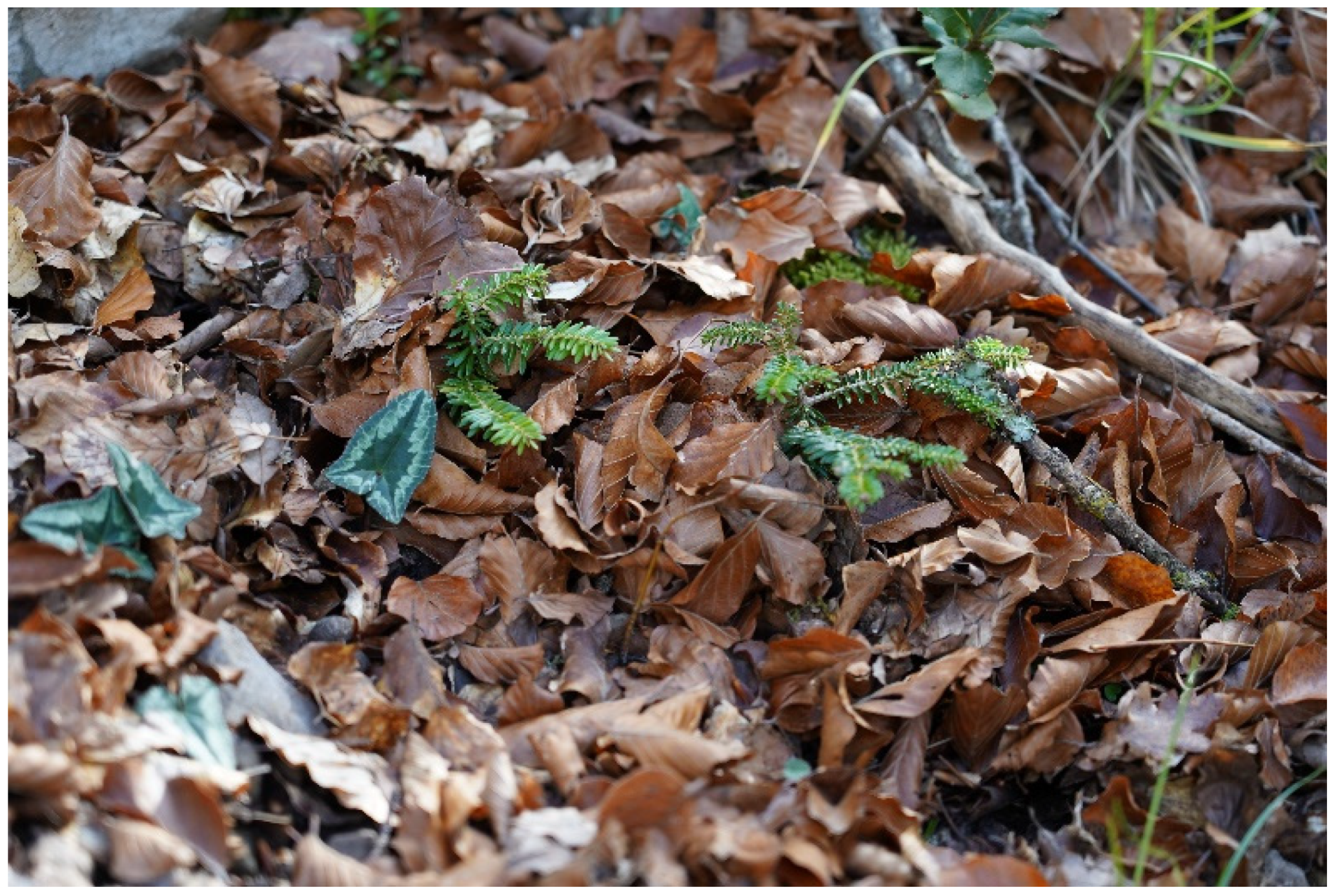 Sustainability 14 12643 g007 Sustainability 14 12643 g007