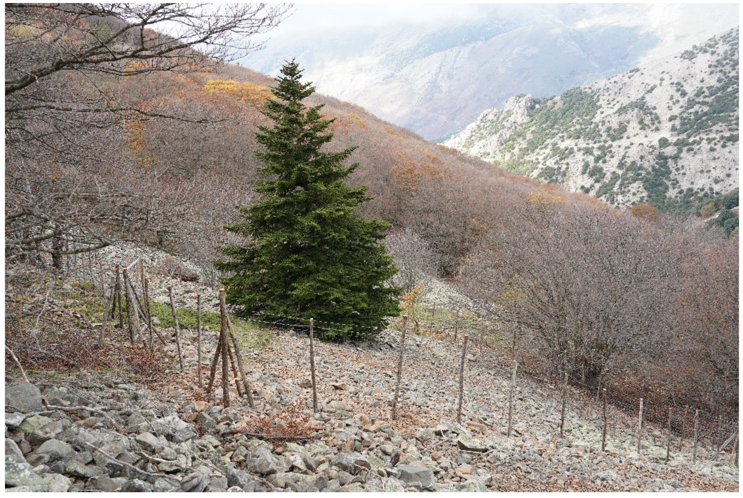 Sustainability 14 12643 g009 Sustainability 14 12643 g009