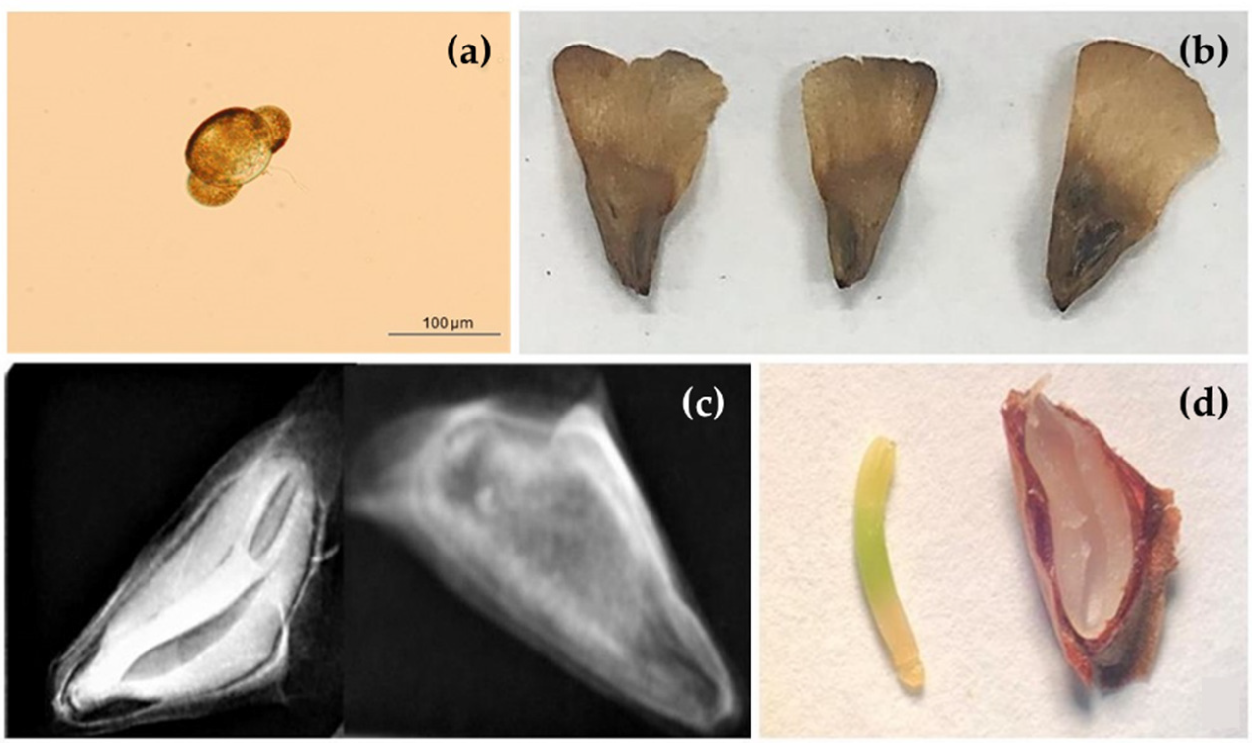 Sustainability 14 12643 g010 Sustainability 14 12643 g010